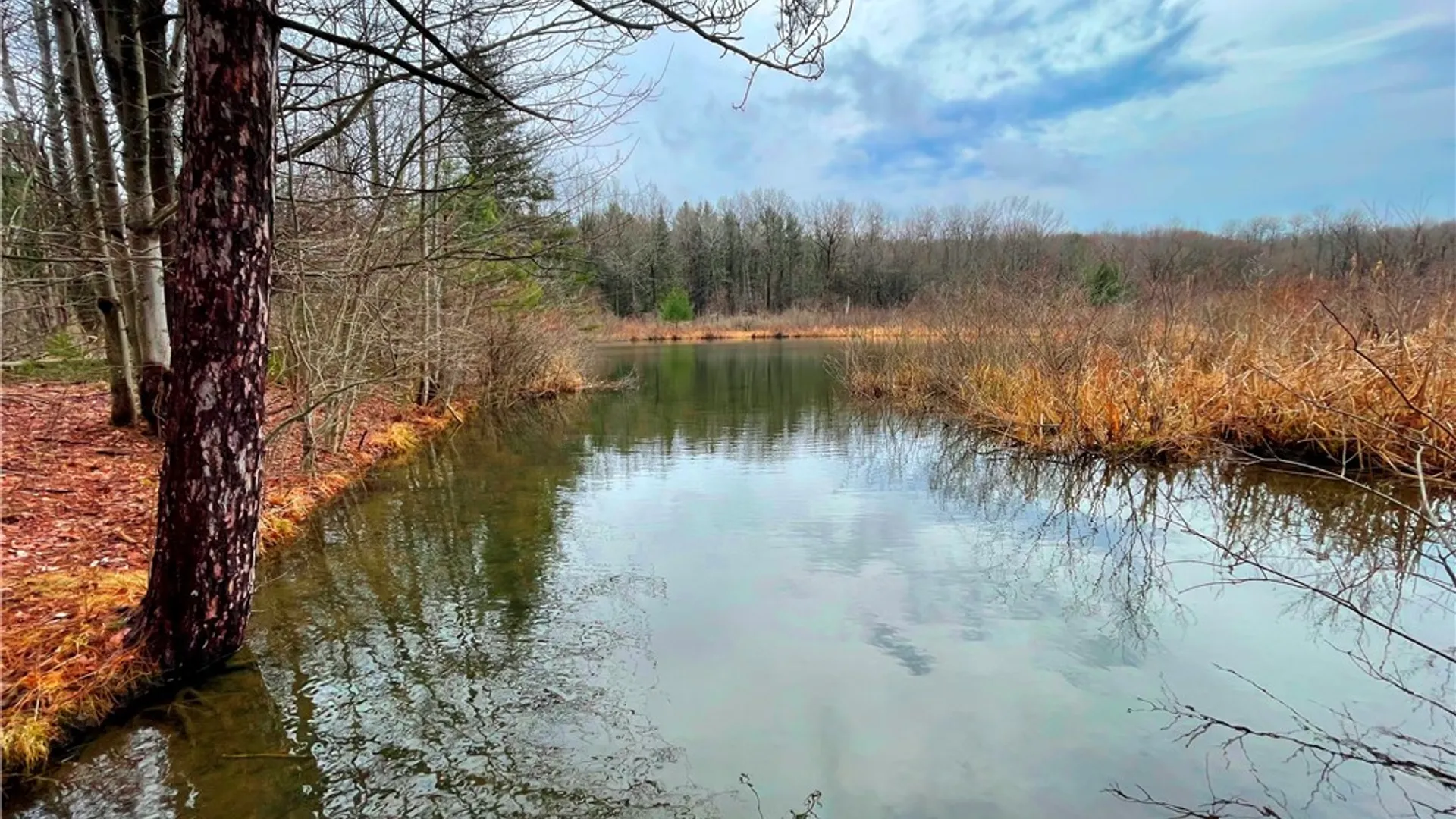 Property at 3776 State Highway 80, Columbus, NY 13460 16