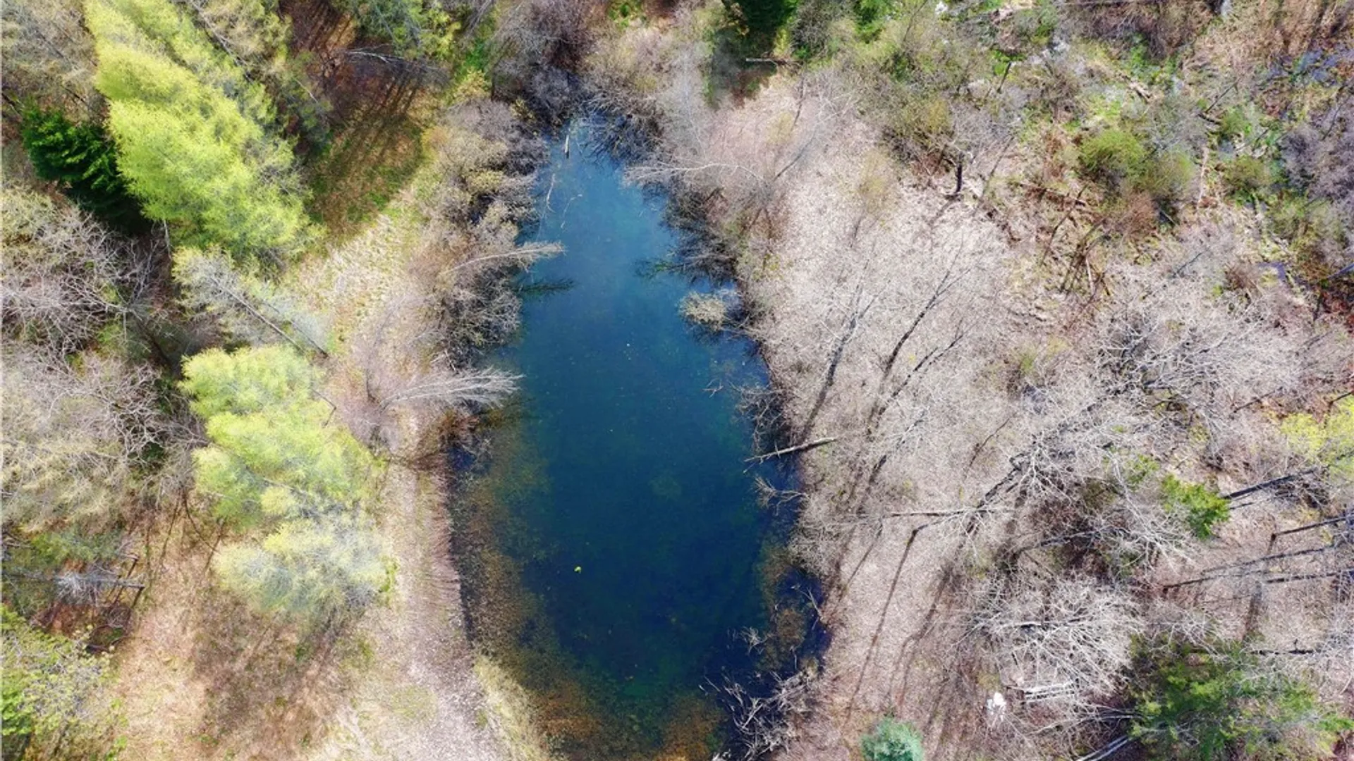 Property at 3776 State Highway 80, Columbus, NY 13460 19