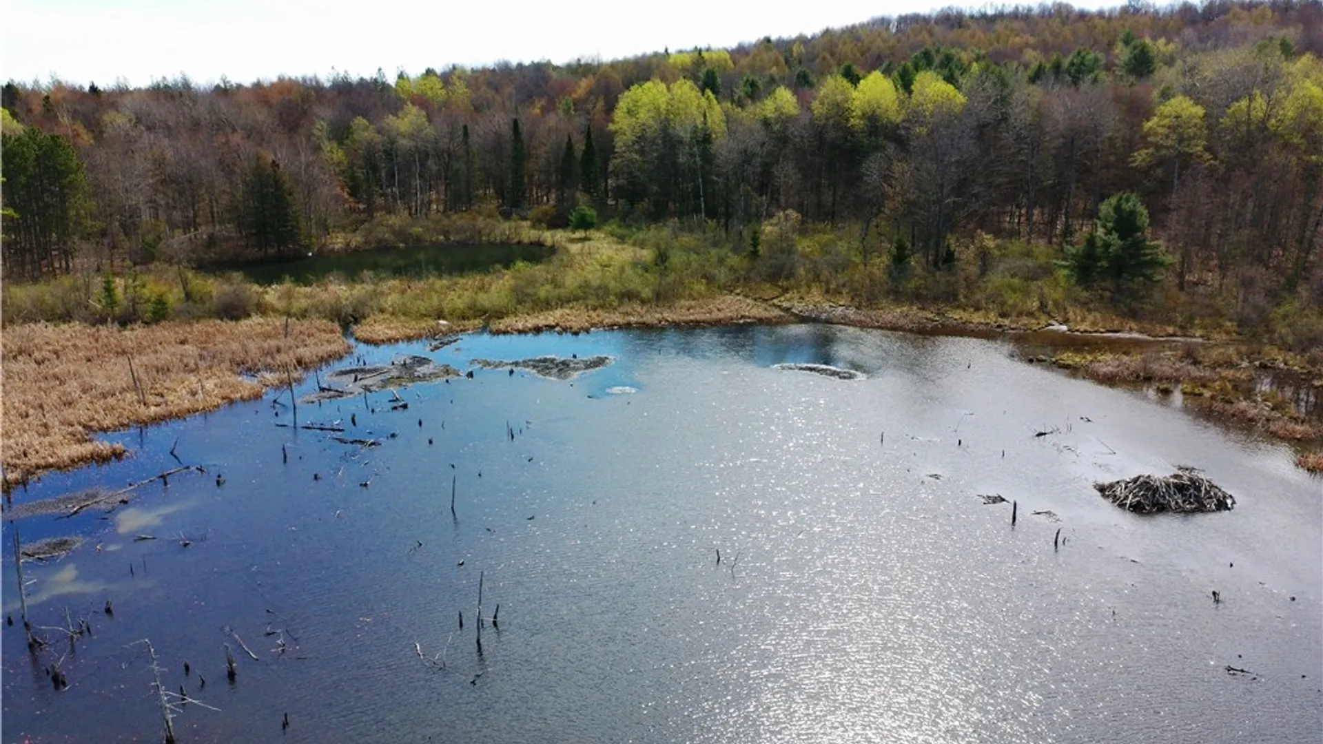 Property at 3776 State Highway 80, Columbus, NY 13460 21