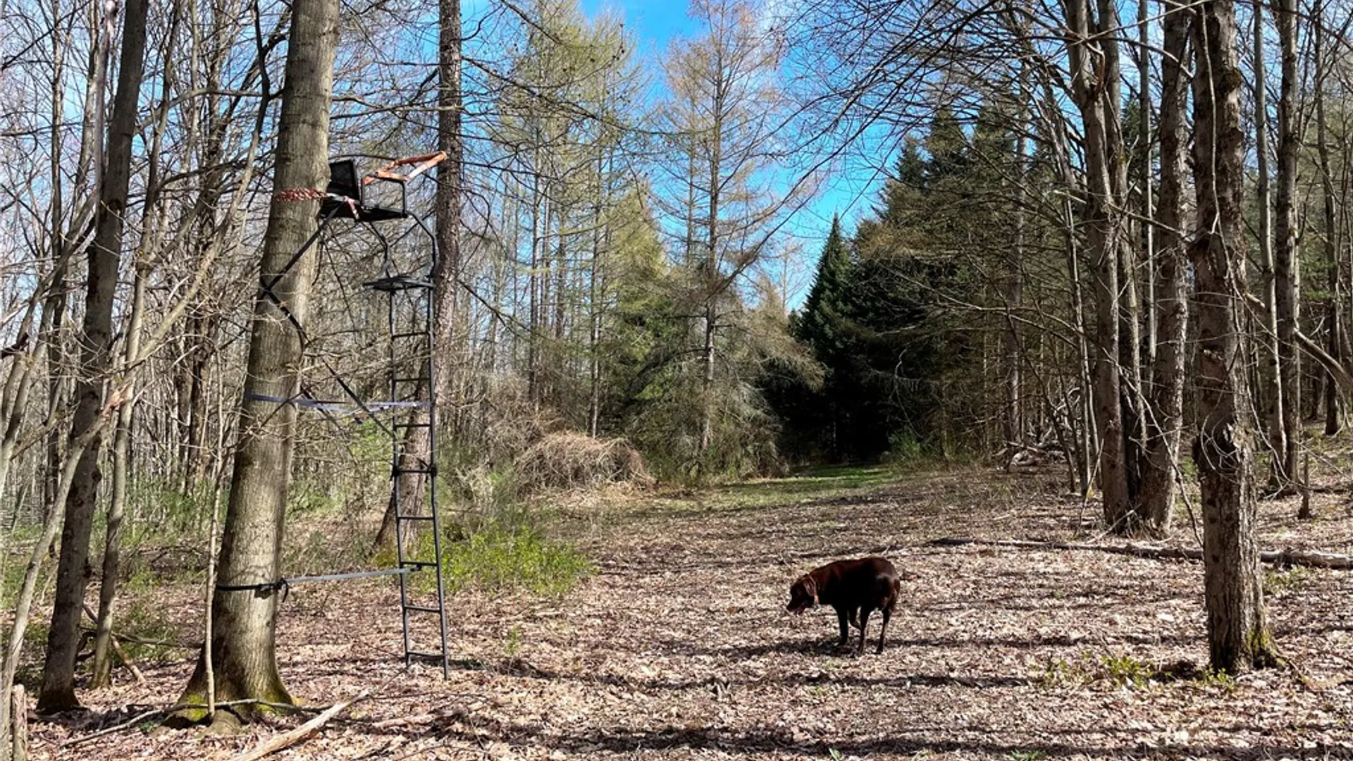 Property at 3776 State Highway 80, Columbus, NY 13460 23