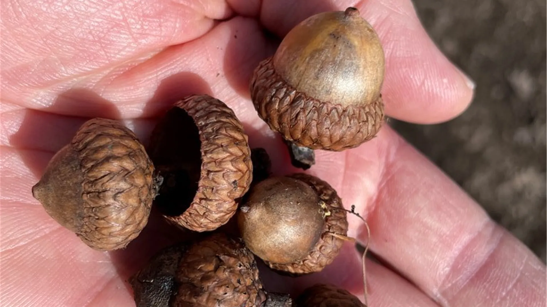 Property at 3776 State Highway 80, Columbus, NY 13460 24