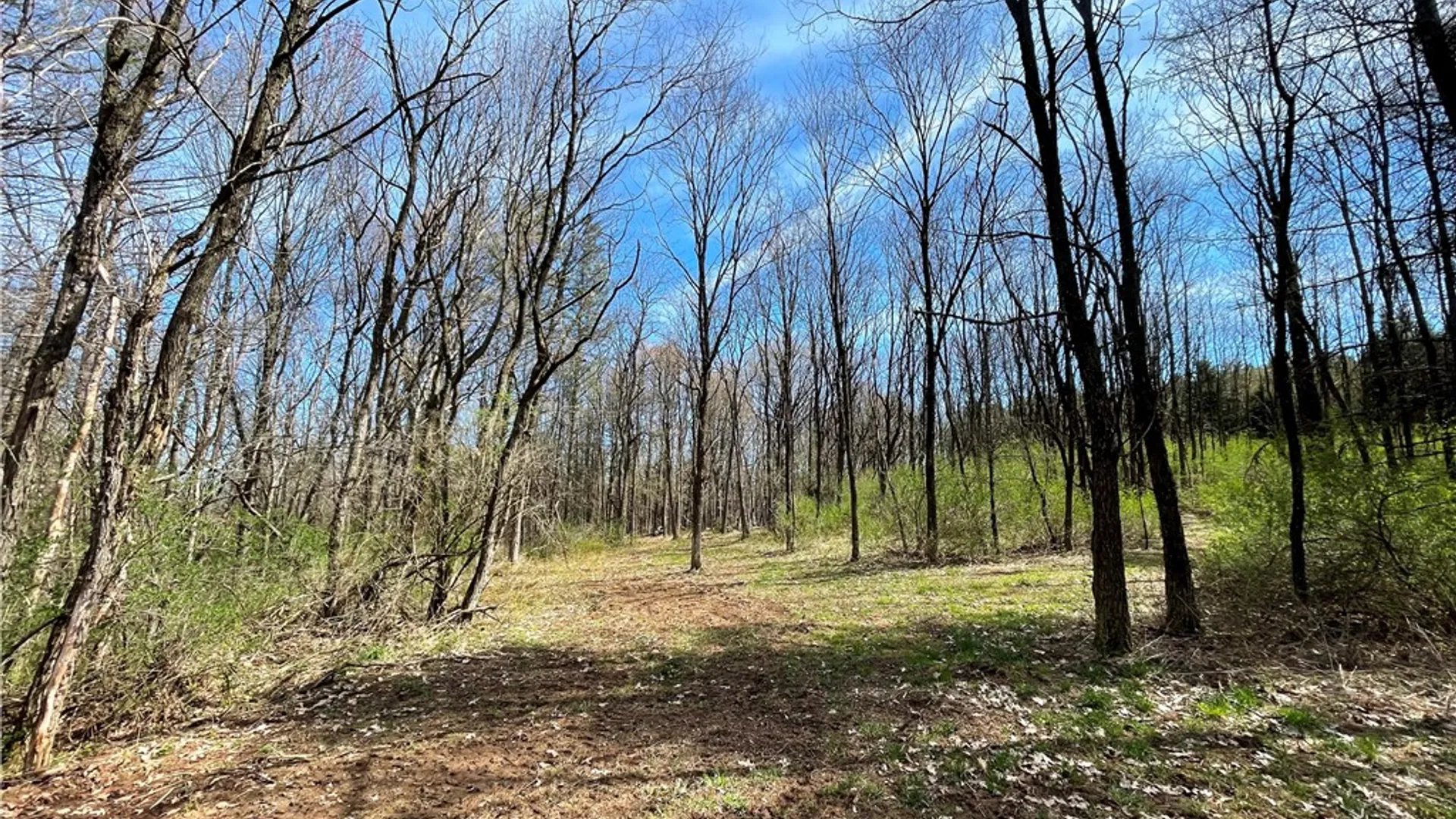 Property at 3776 State Highway 80, Columbus, NY 13460 25