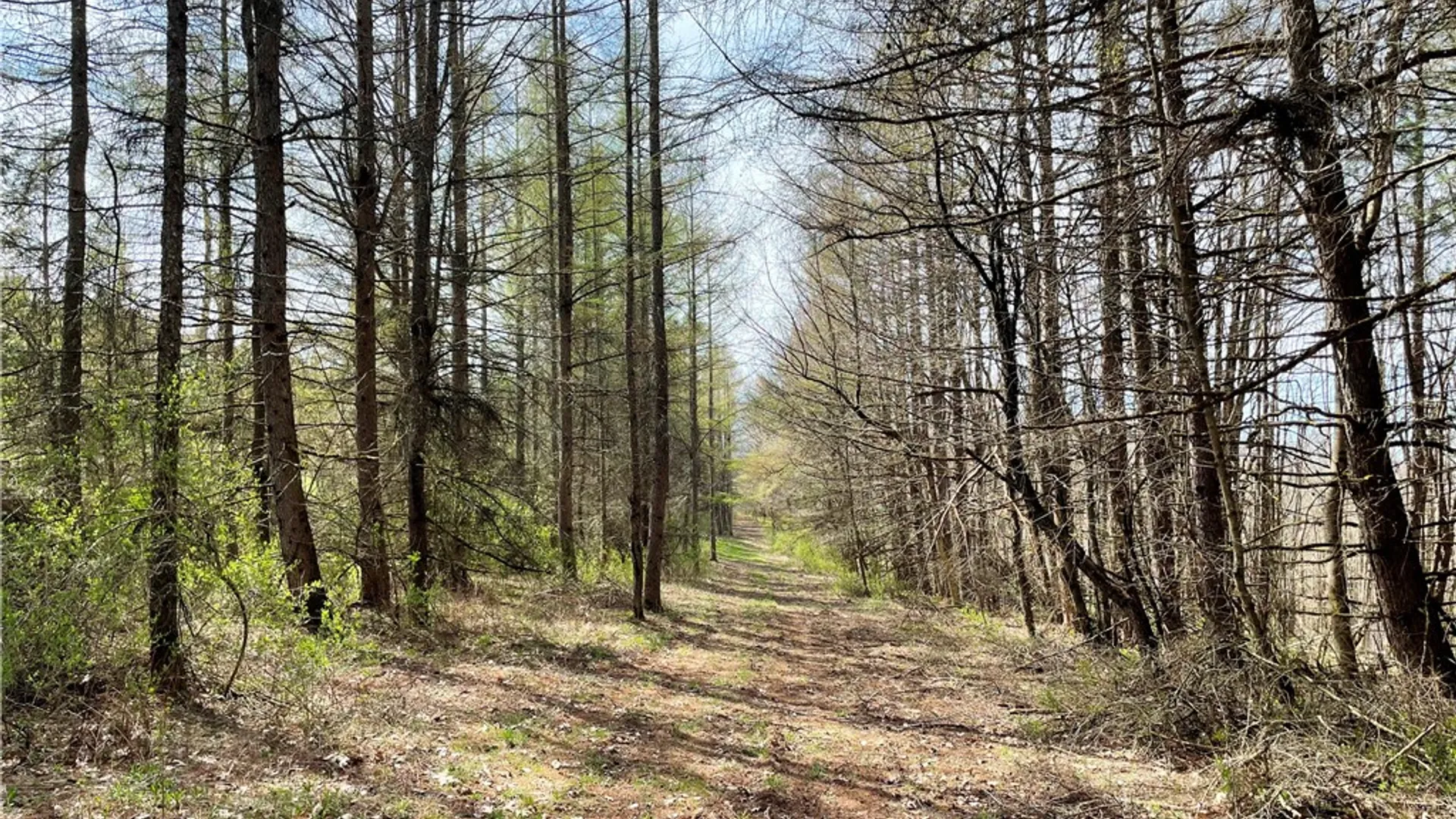 Property at 3776 State Highway 80, Columbus, NY 13460 26