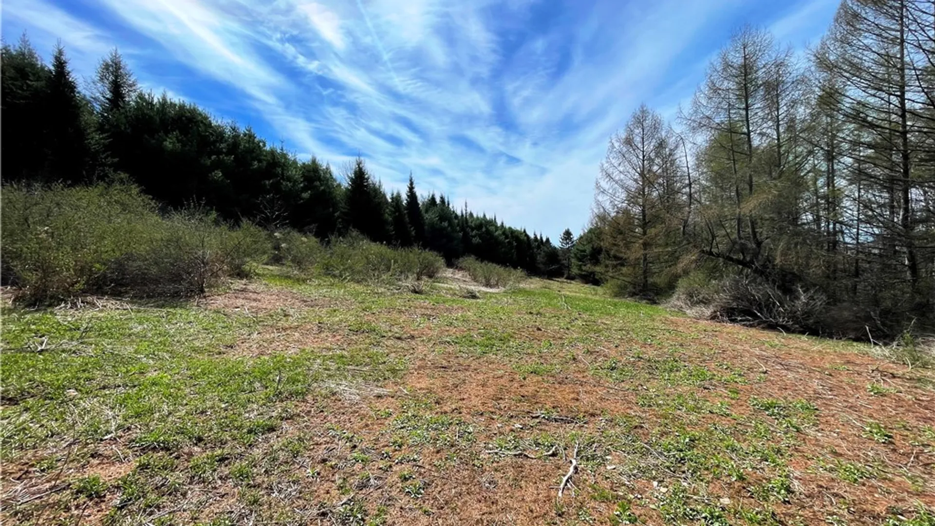 Property at 3776 State Highway 80, Columbus, NY 13460 27