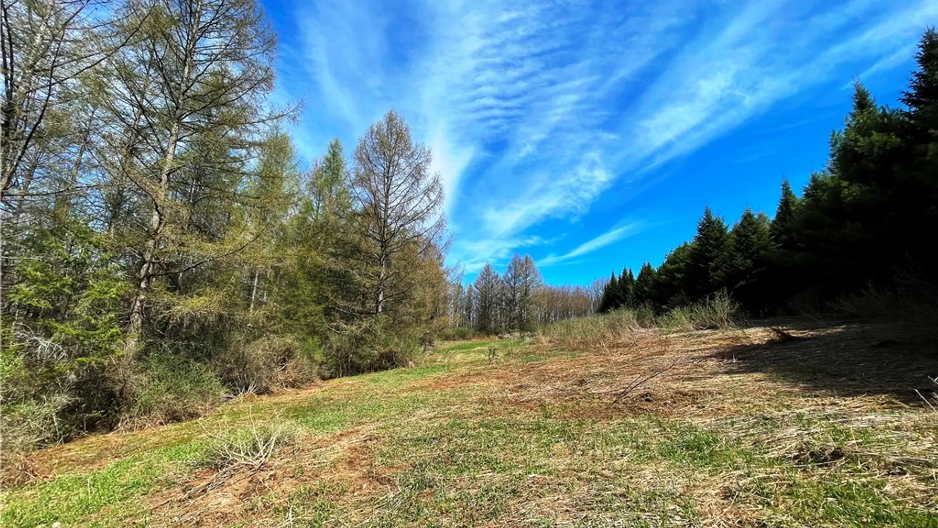 Property at 3776 State Highway 80, Columbus, NY 13460 28