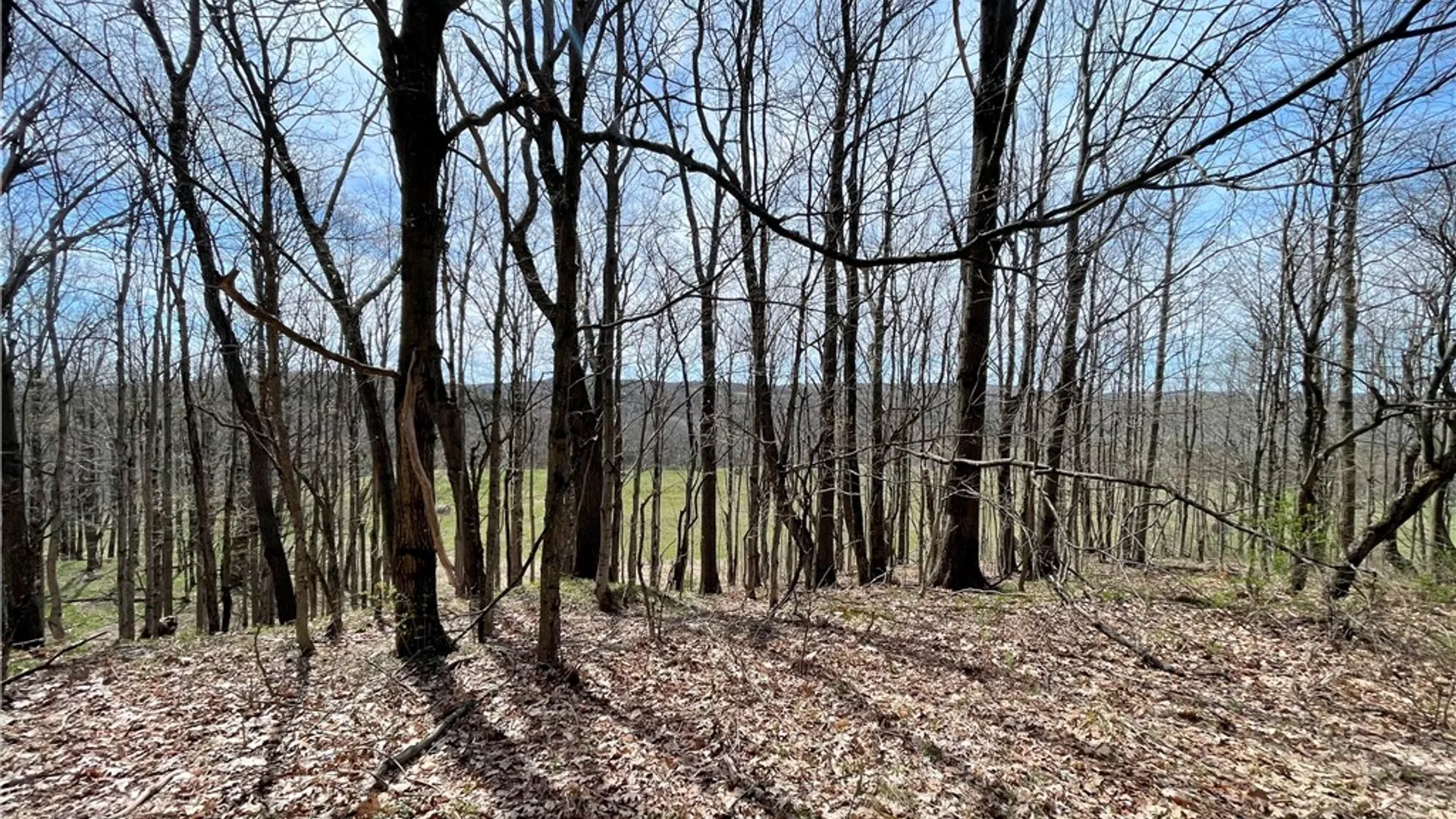 Property at 3776 State Highway 80, Columbus, NY 13460 33