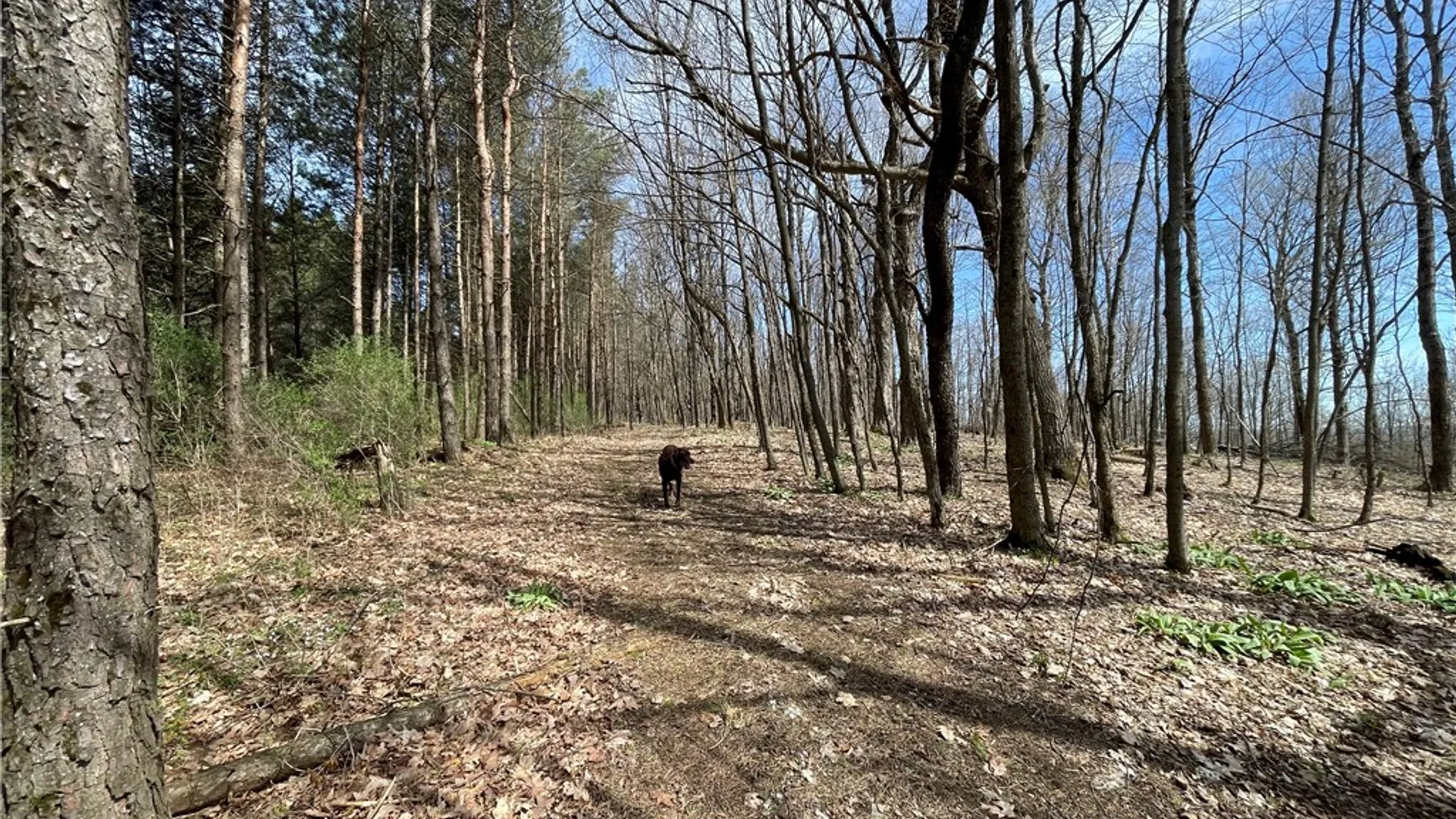 Property at 3776 State Highway 80, Columbus, NY 13460 34