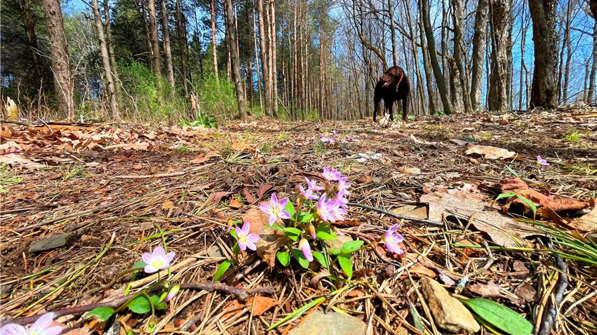 Property at 3776 State Highway 80, Columbus, NY 13460 35