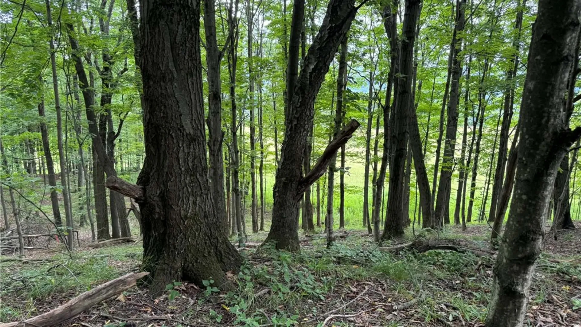 Property at 3776 State Highway 80, Columbus, NY 13460 36