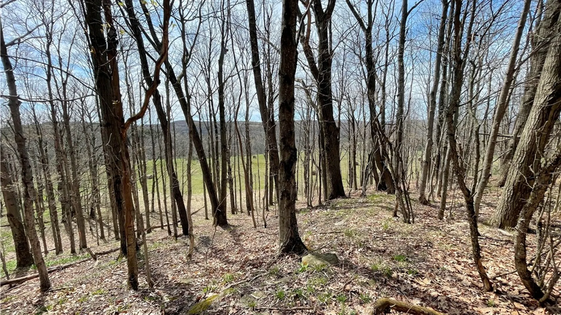 Property at 3776 State Highway 80, Columbus, NY 13460 37