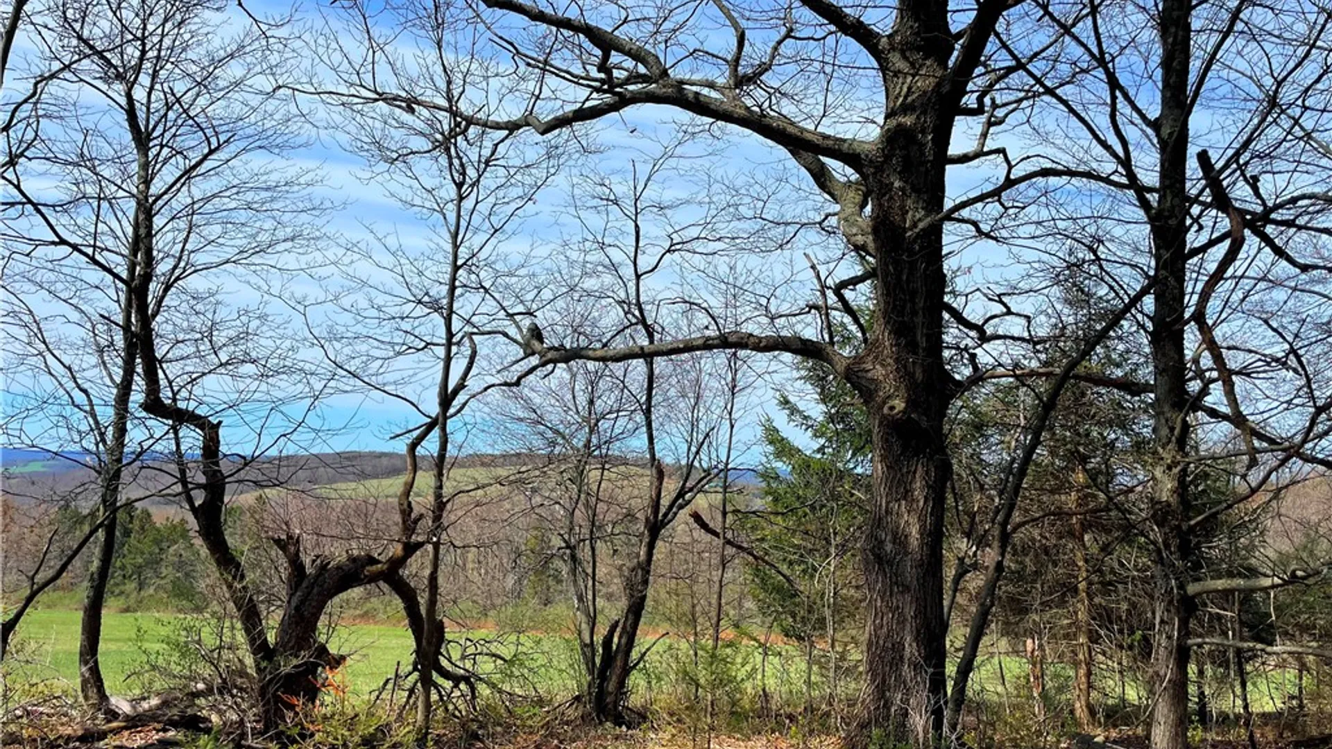 Property at 3776 State Highway 80, Columbus, NY 13460 38