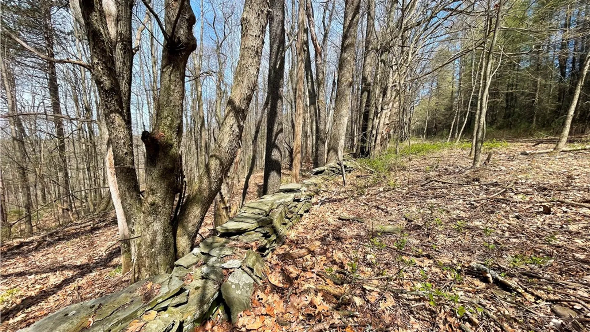 Property at 3776 State Highway 80, Columbus, NY 13460 39