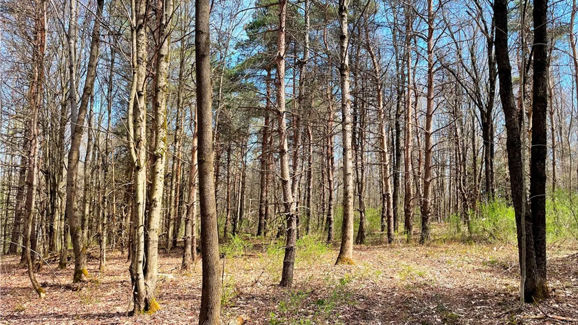 Property at 3776 State Highway 80, Columbus, NY 13460 40