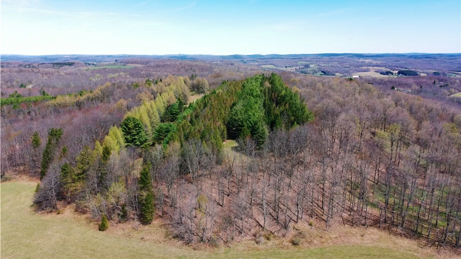 Property at 3776 State Highway 80, Columbus, NY 13460 41