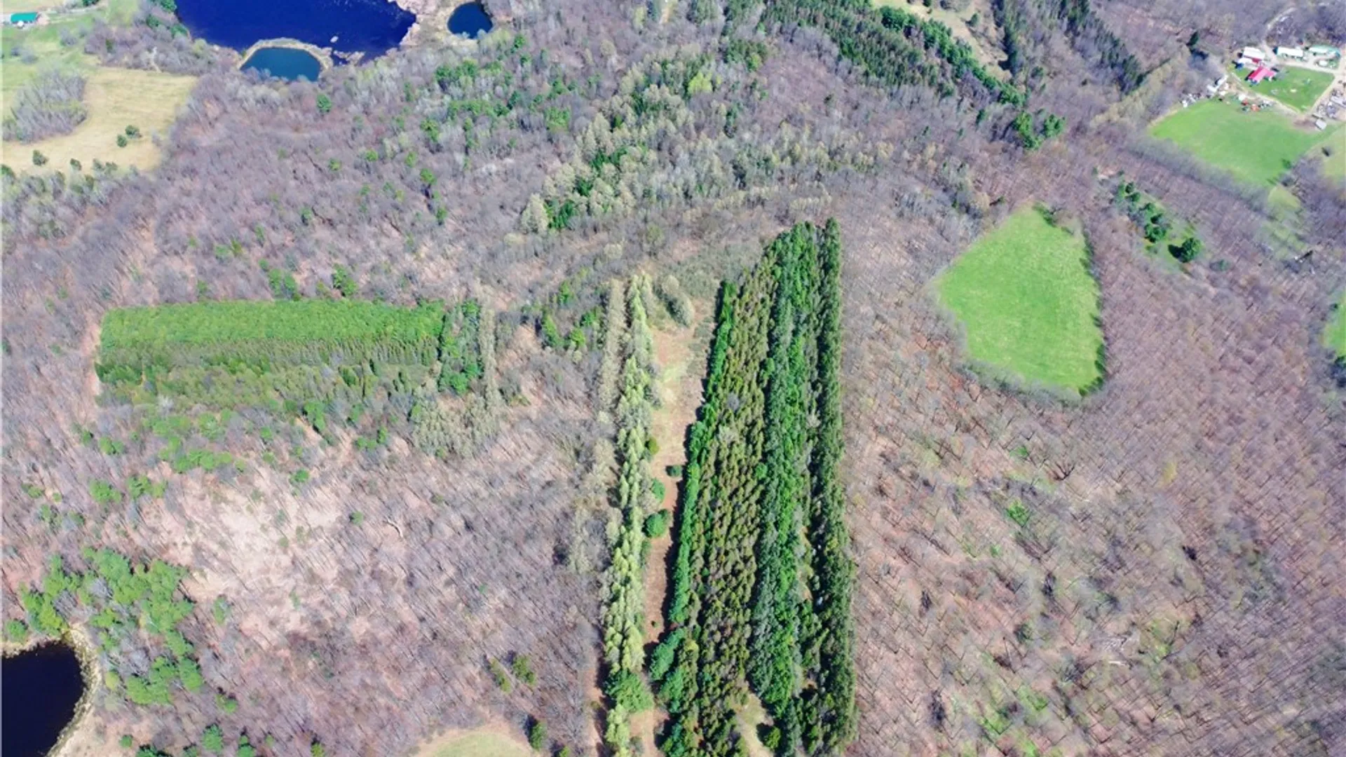 Property at 3776 State Highway 80, Columbus, NY 13460 43