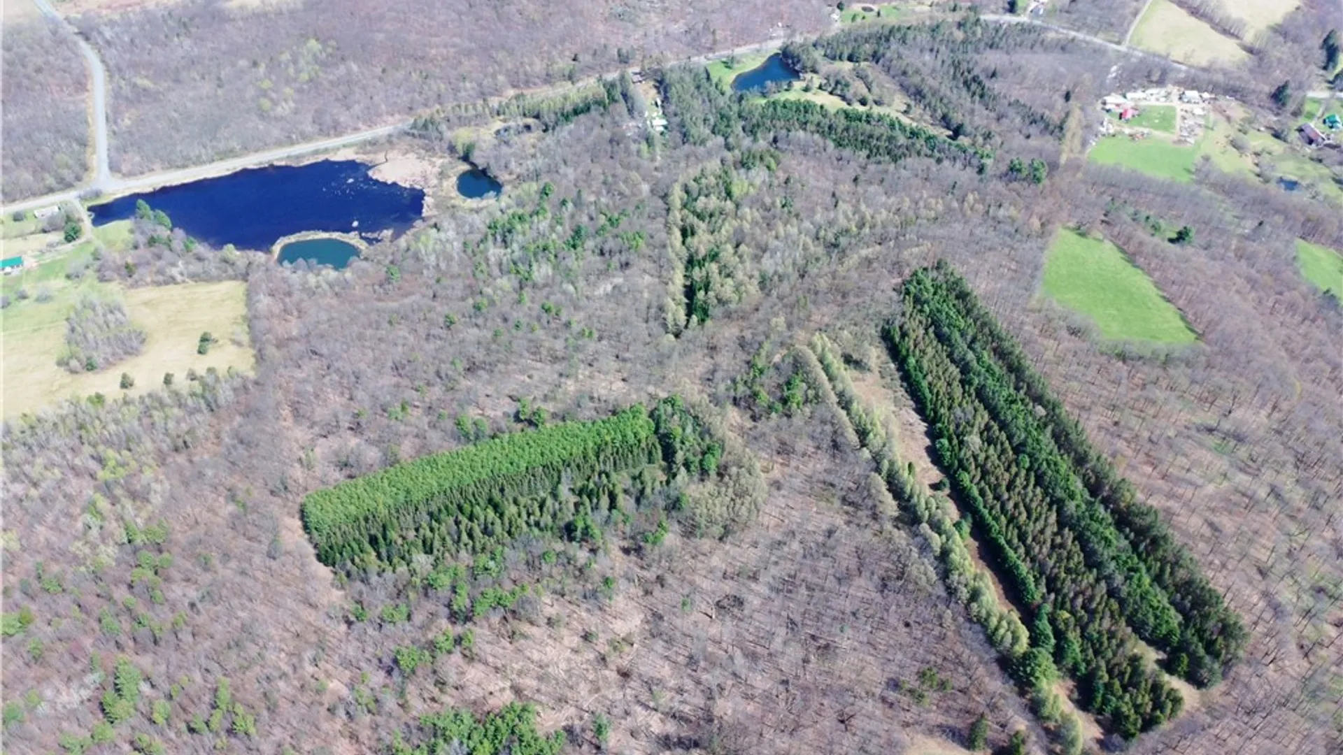 Property at 3776 State Highway 80, Columbus, NY 13460 44