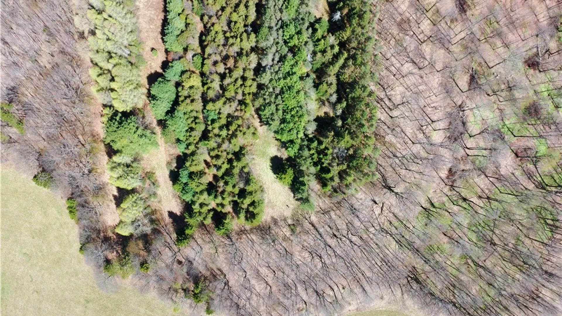 Property at 3776 State Highway 80, Columbus, NY 13460 46