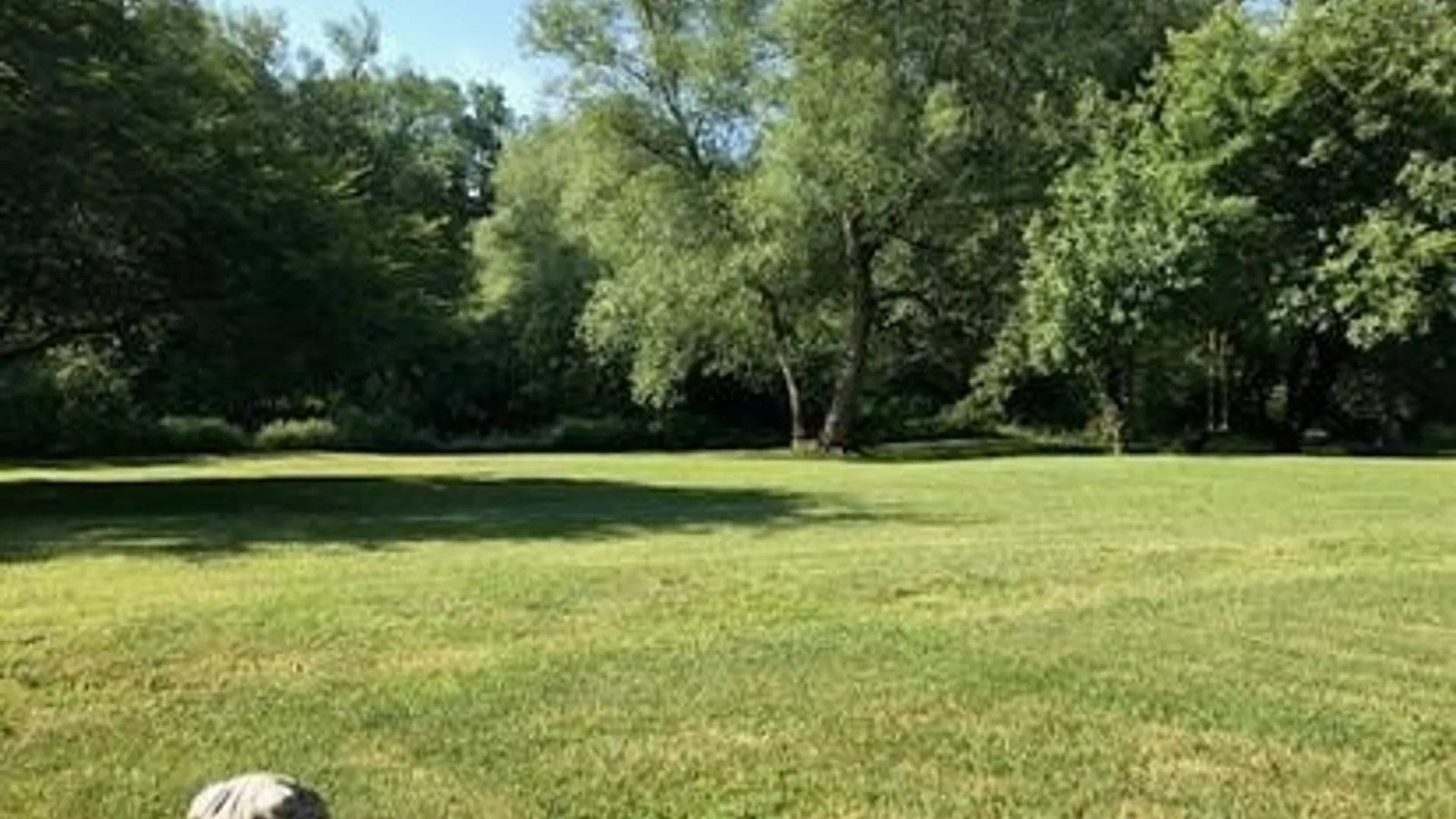 Property at 2574 Clark Road, Arcade, NY 14009 14