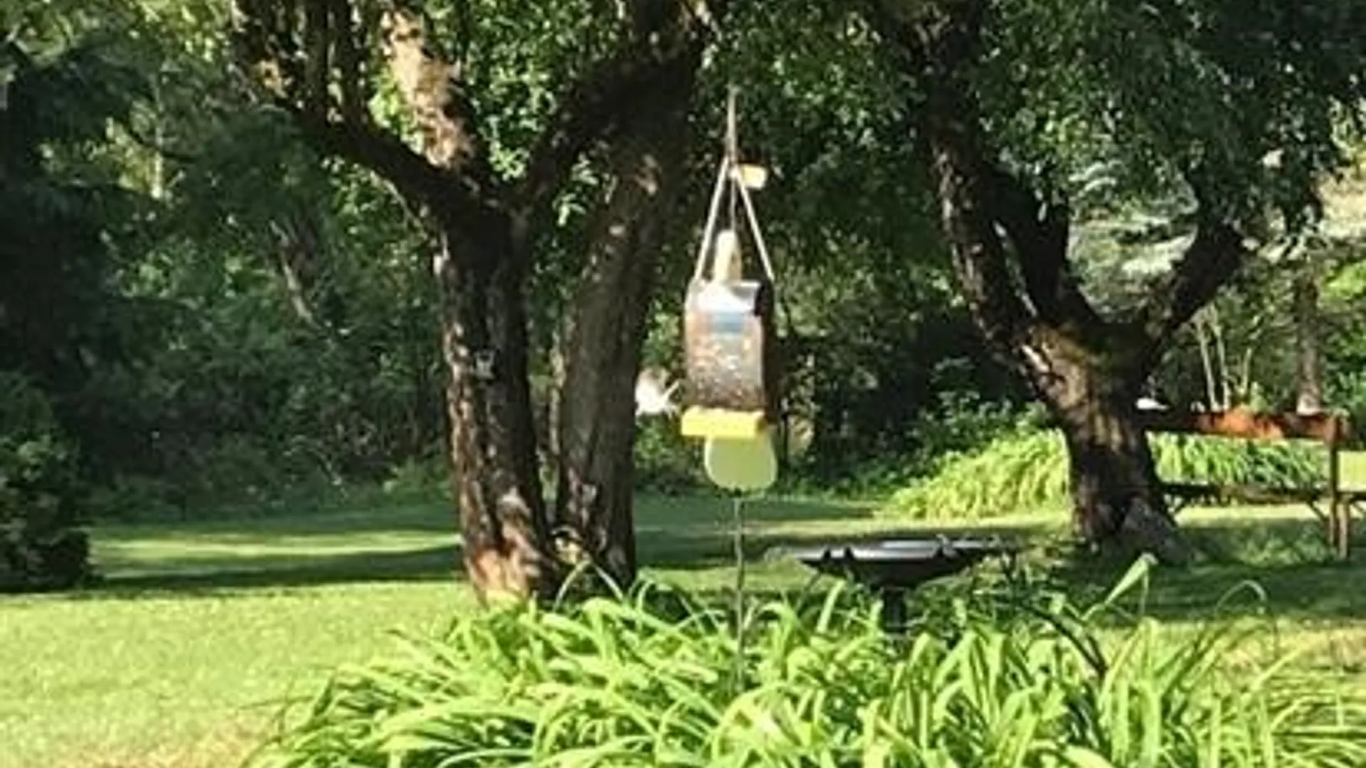 Property at 2574 Clark Road, Arcade, NY 14009 15