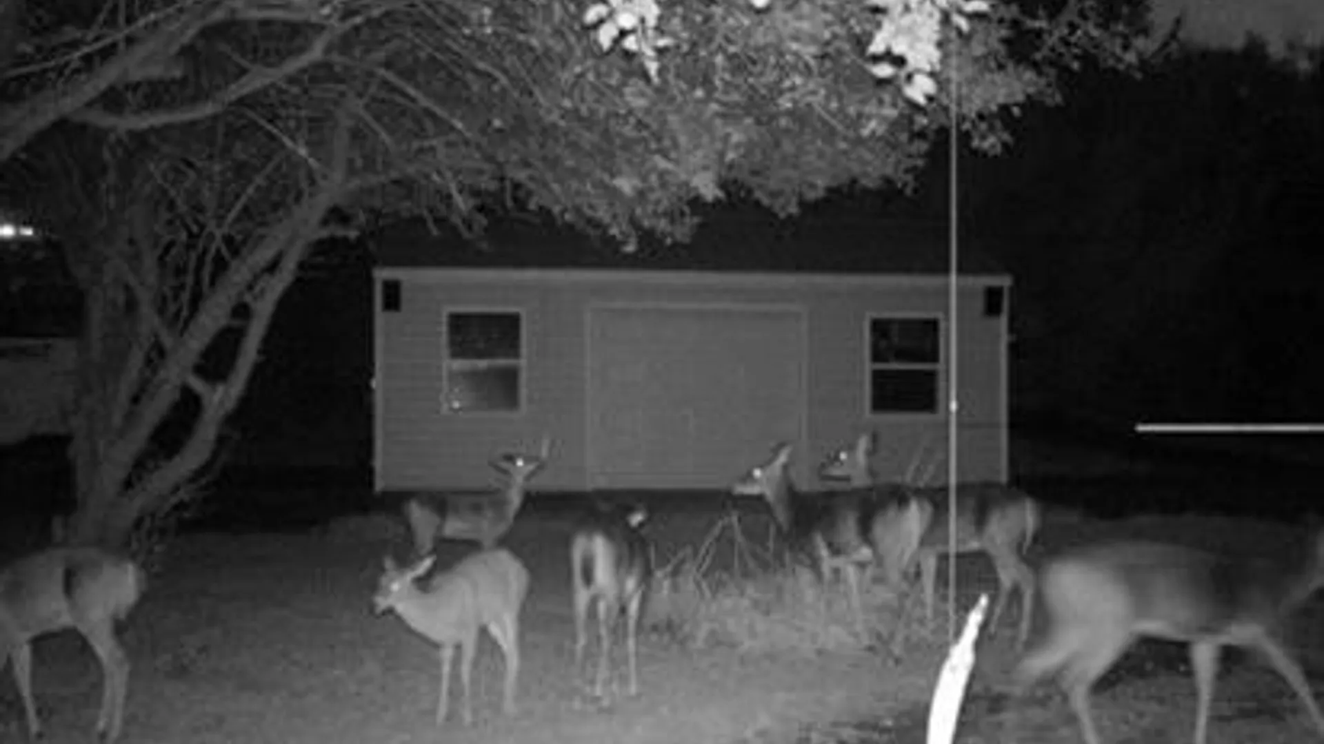 Property at 2574 Clark Road, Arcade, NY 14009 19