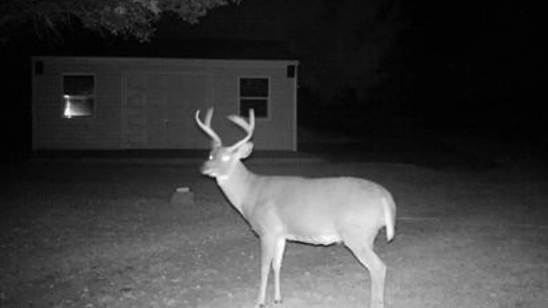 Property at 2574 Clark Road, Arcade, NY 14009 20