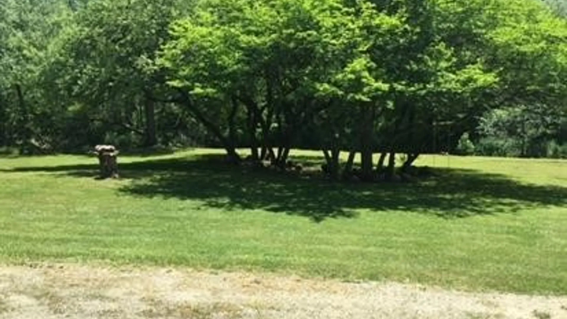 Property at 2574 Clark Road, Arcade, NY 14009 22