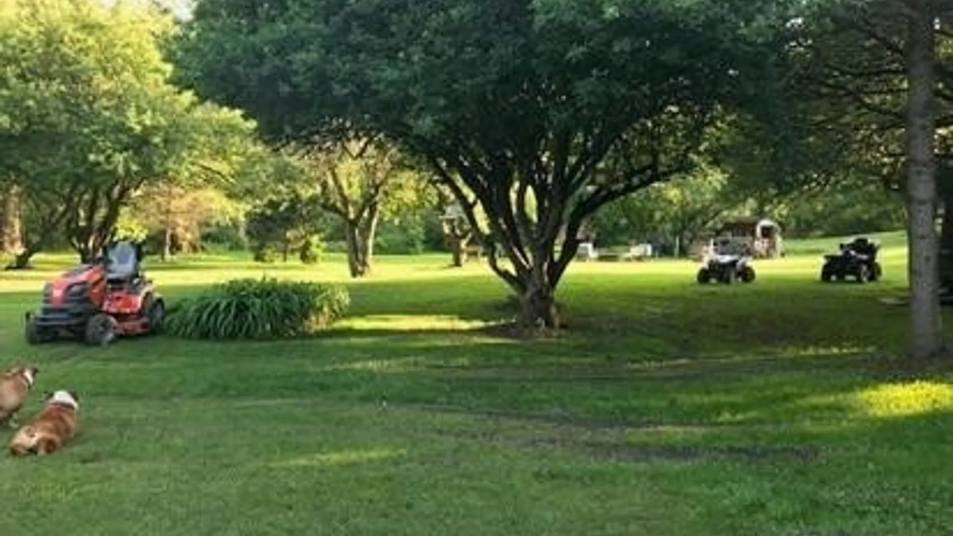 Property at 2574 Clark Road, Arcade, NY 14009 9