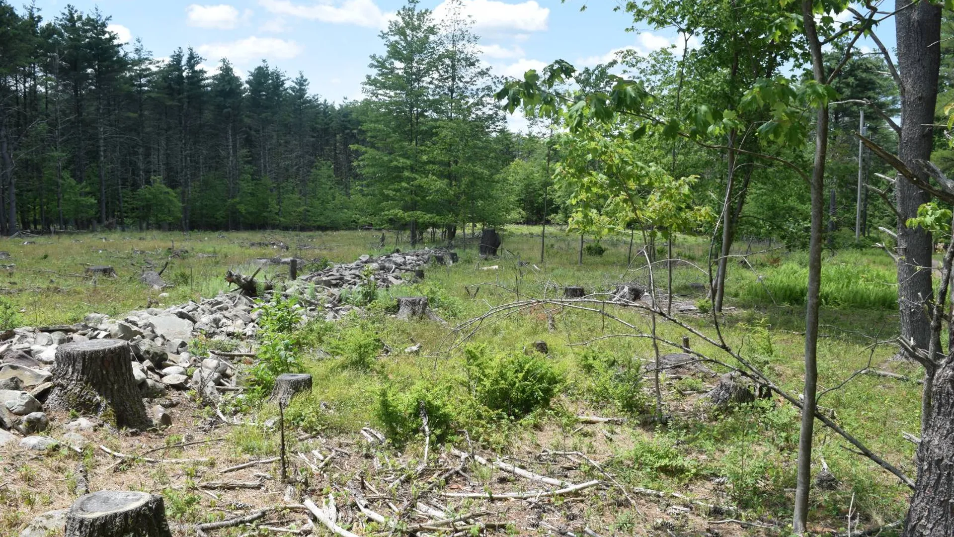 Property at TBD Anthony Drive, Cairo, NY 12058 10