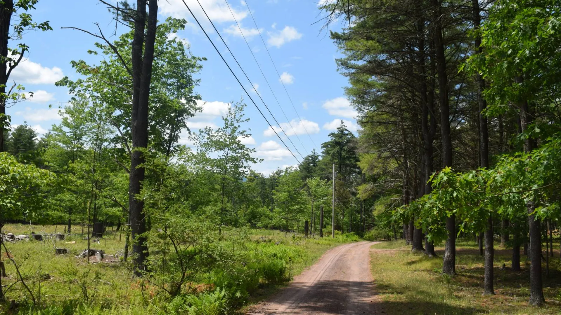 Property at TBD Anthony Drive, Cairo, NY 12058 12