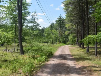 Property at TBD Anthony Drive, Cairo, NY 12058