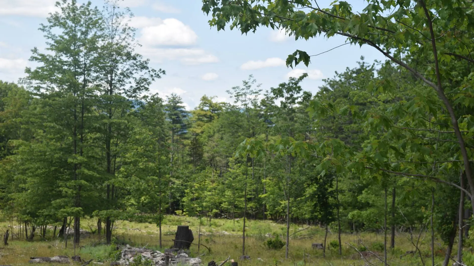 Property at TBD Anthony Drive, Cairo, NY 12058 3