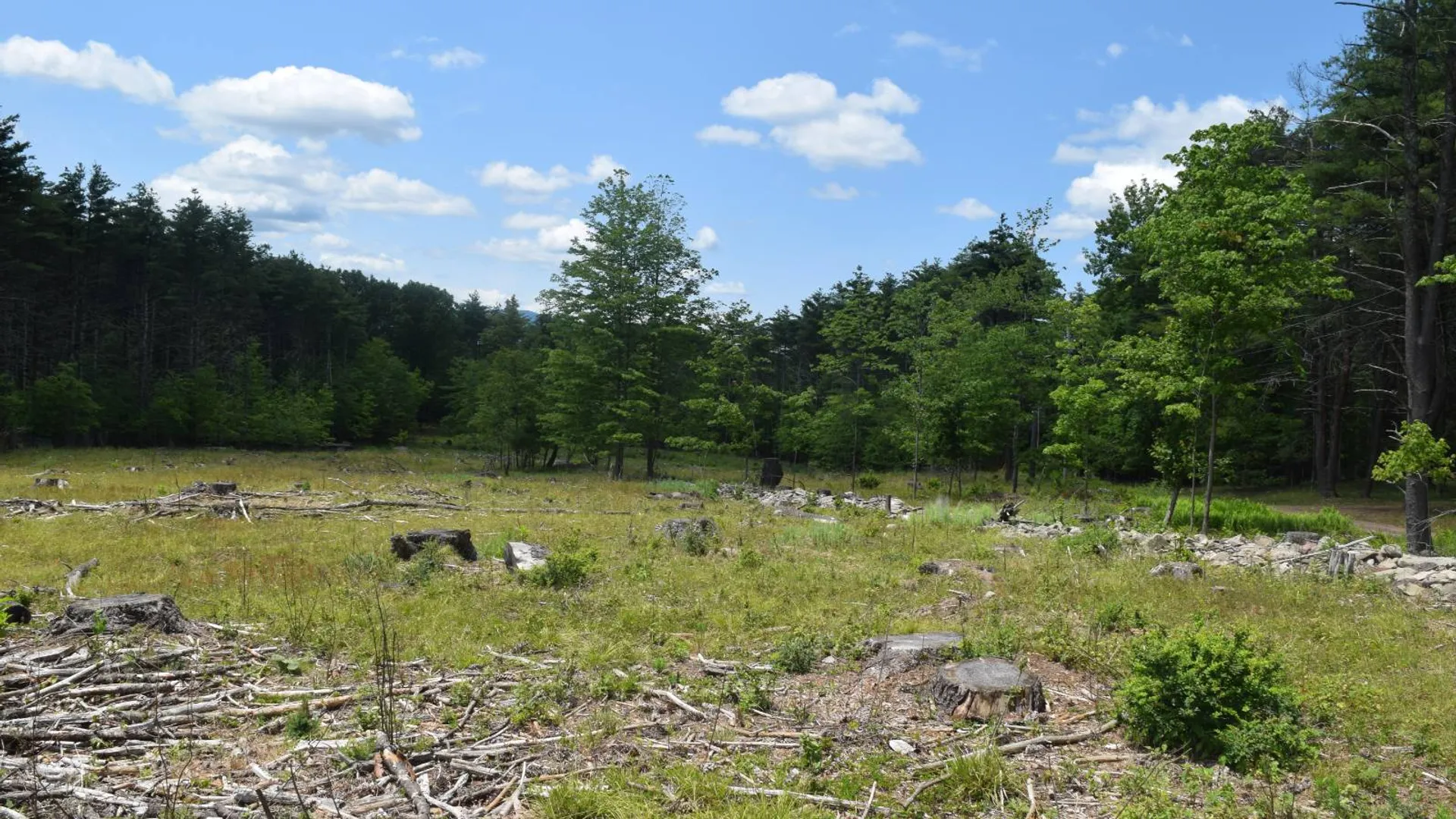 Property at TBD Anthony Drive, Cairo, NY 12058 5