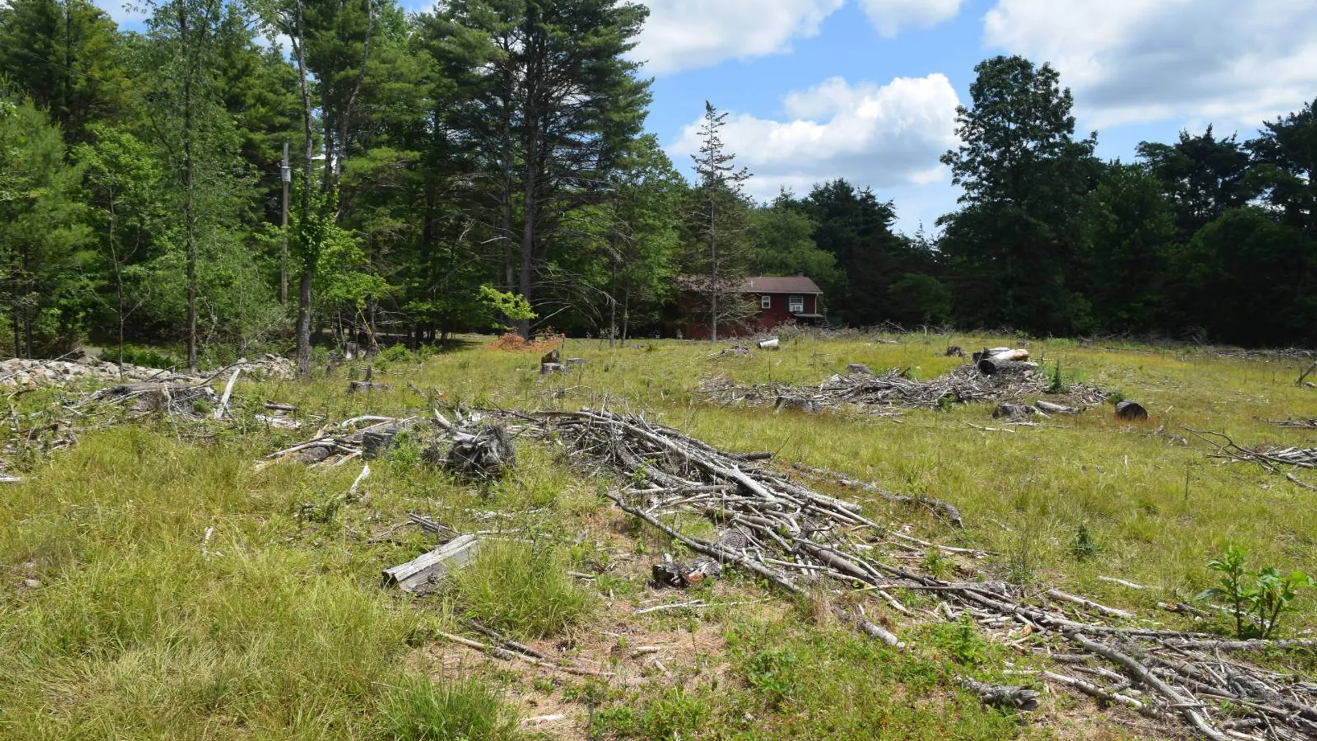 Property at TBD Anthony Drive, Cairo, NY 12058 6