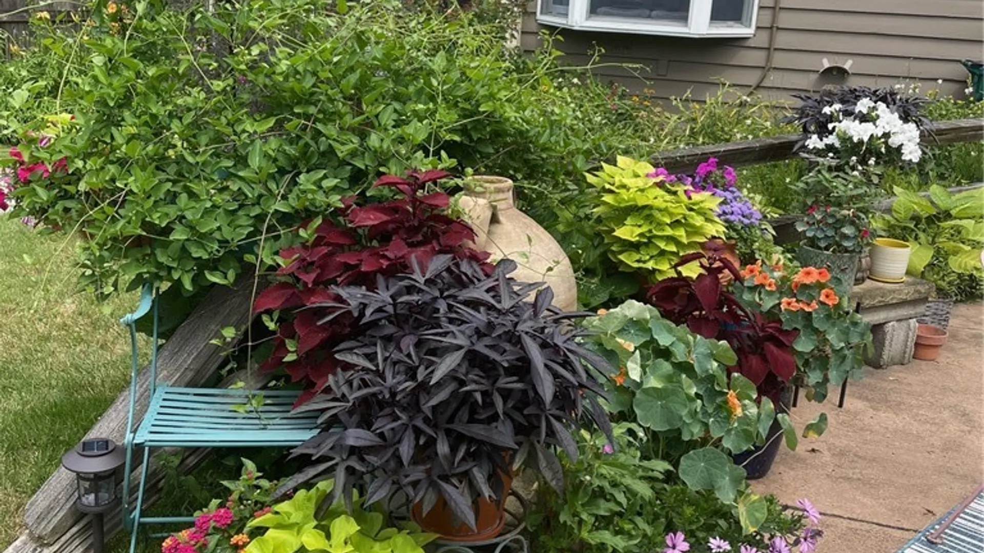 Property at 96 Chatham Avenue, Buffalo, NY 14216 43