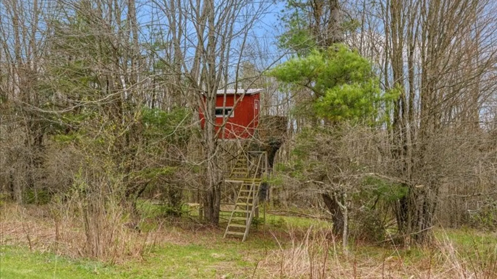 Property at 355 Sprague Road, Coventry, NY 13730 45