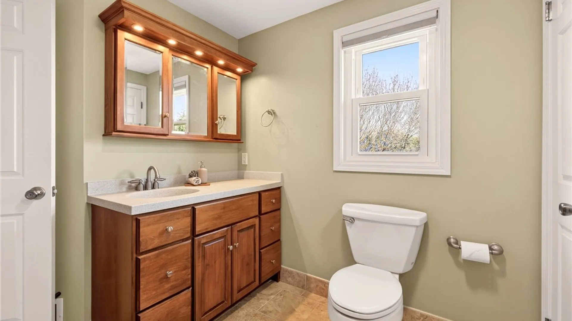 Property at 480 Spring Meadow Lane, Webster, NY 14580 29