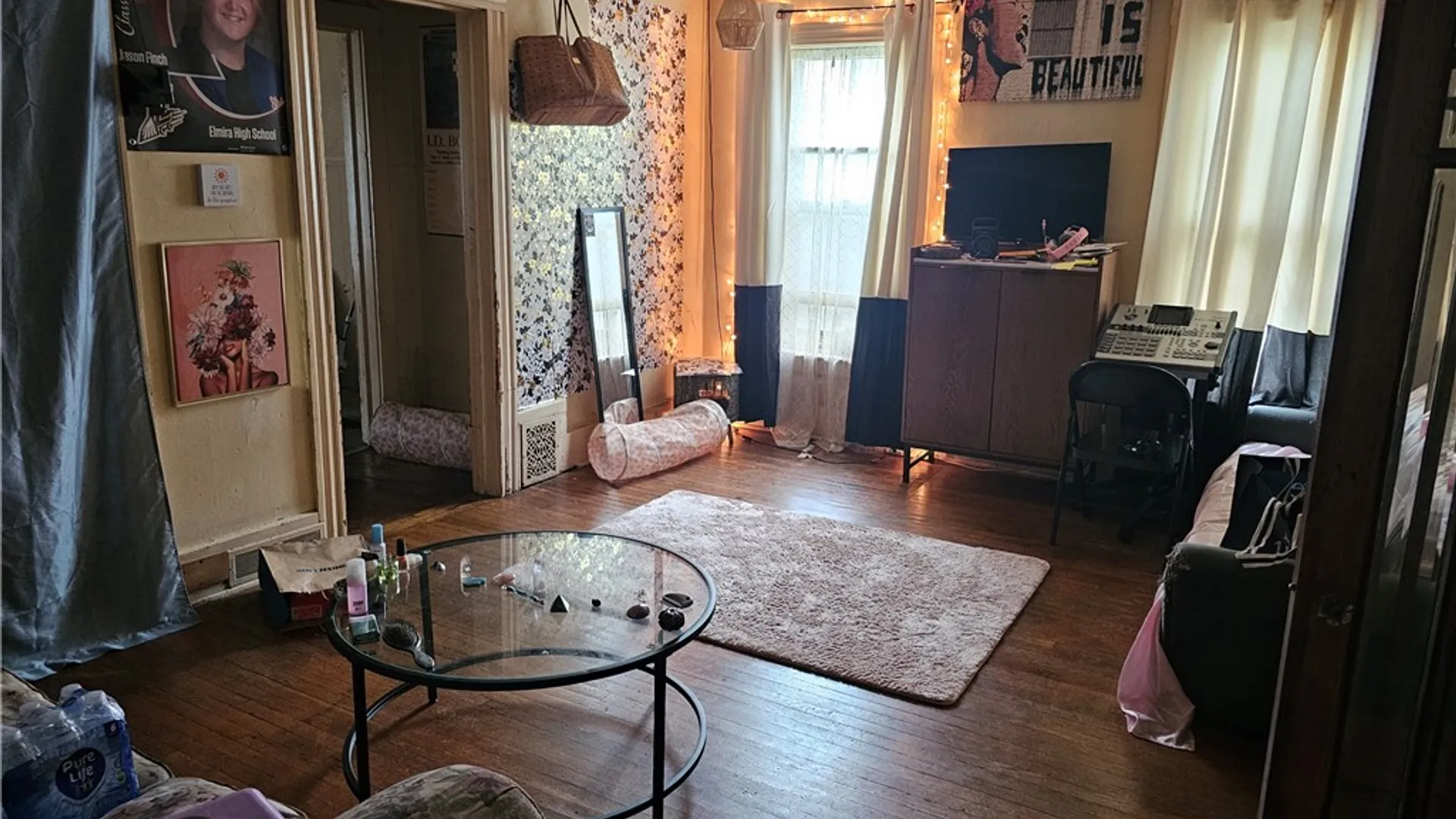 Property at 273 Chemung Place, Elmira City, NY 14904 13