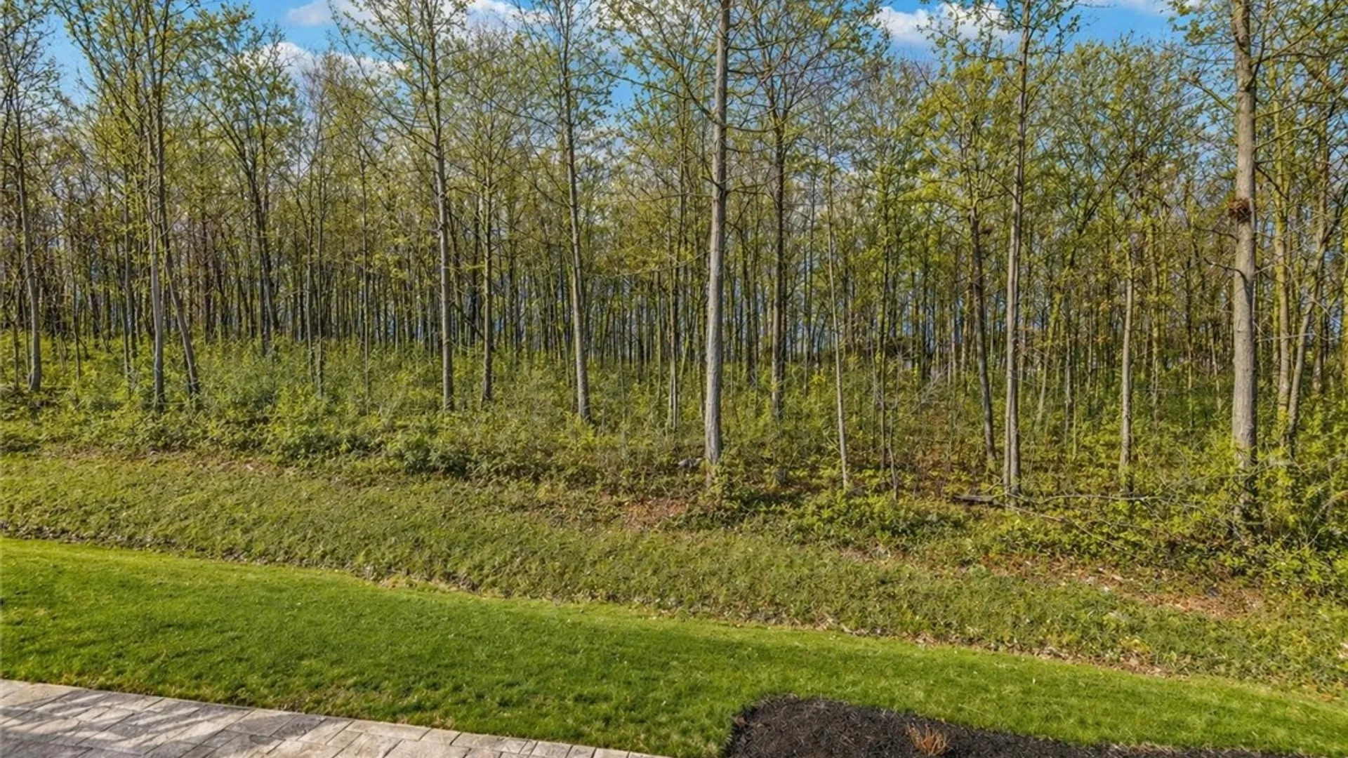 Property at 6032 Woodvine Rise, Canandaigua Town, NY 14424 11