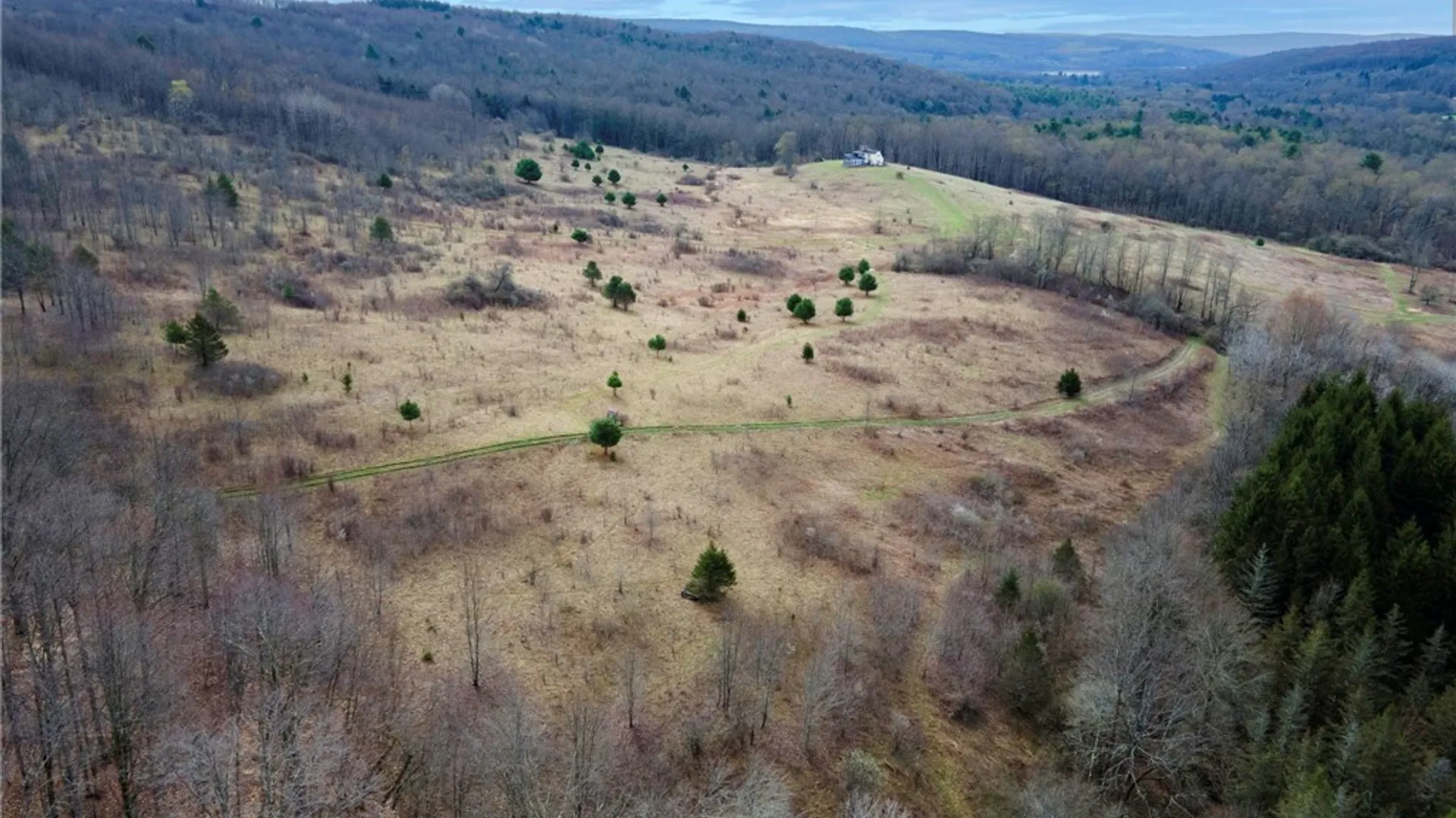 Property at 0 Merrill Creek Road, Marathon, NY 13803 8