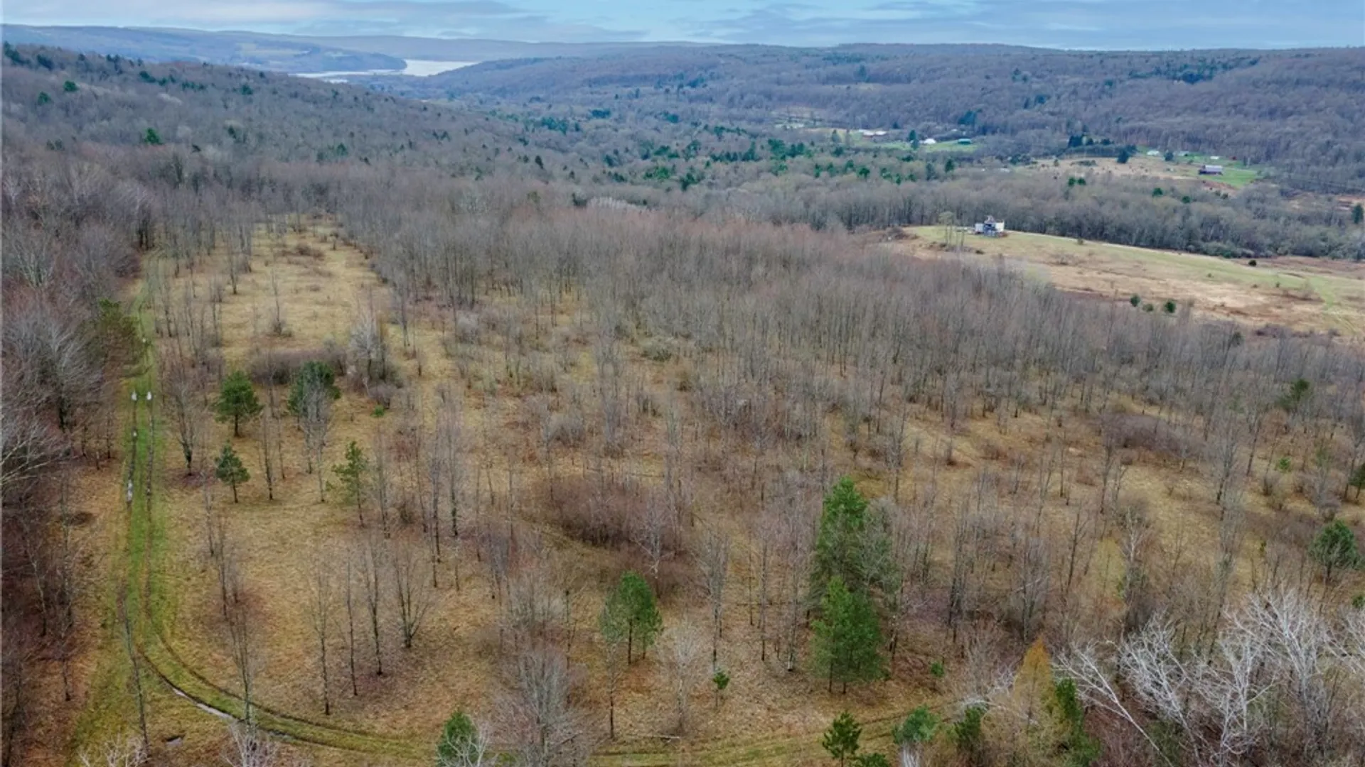 Property at Merrill Creek Road, Marathon, NY 13803 6