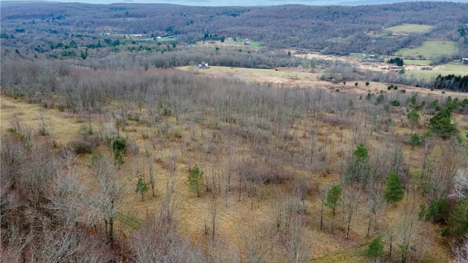 Property at Merrill Creek Road, Marathon, NY 13803 9