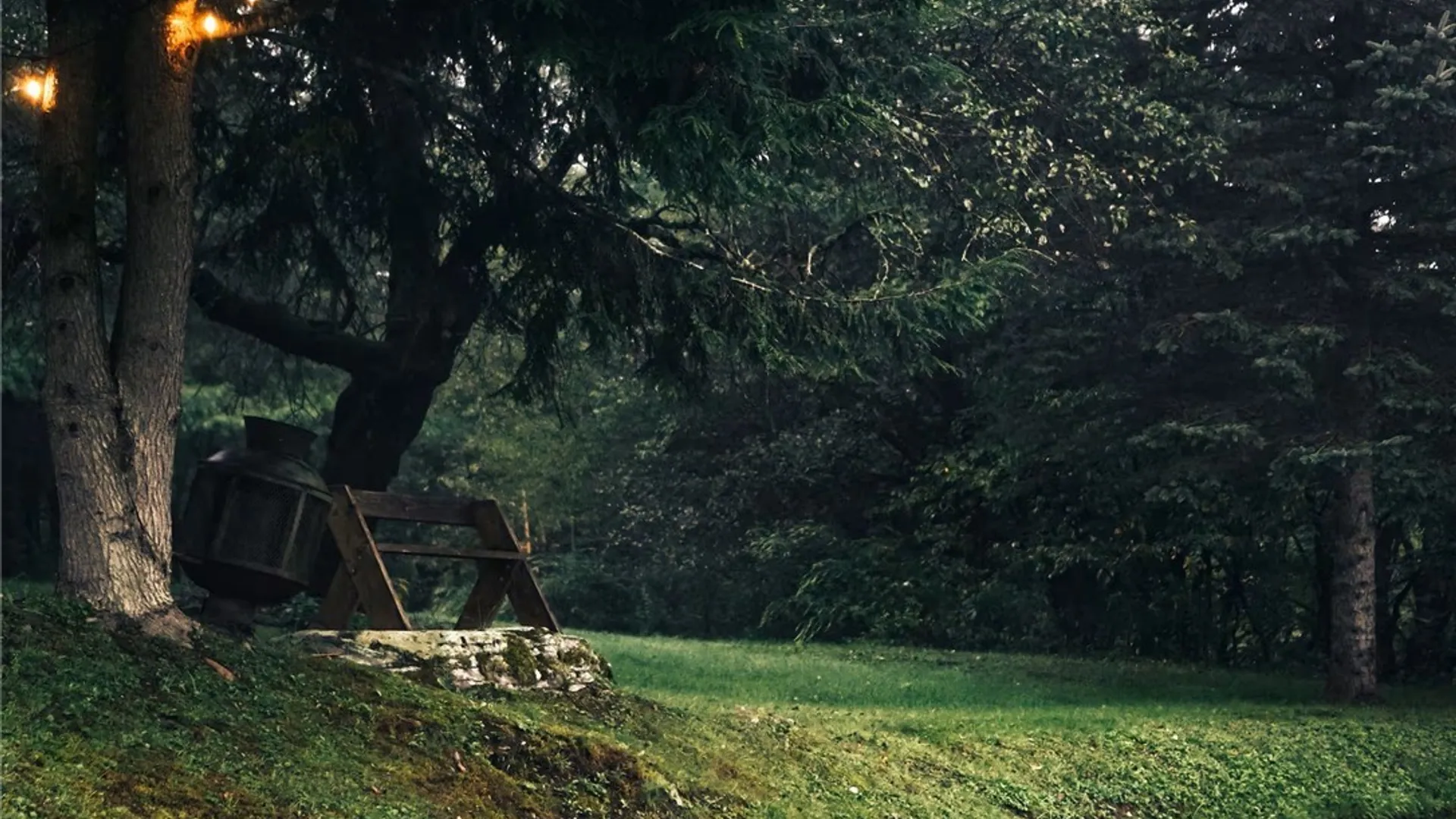 Property at 173 Lewis Road, Tompkins, NY 13856 11