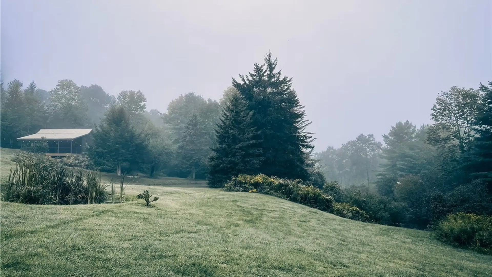 Property at 173 Lewis Road, Tompkins, NY 13856 14