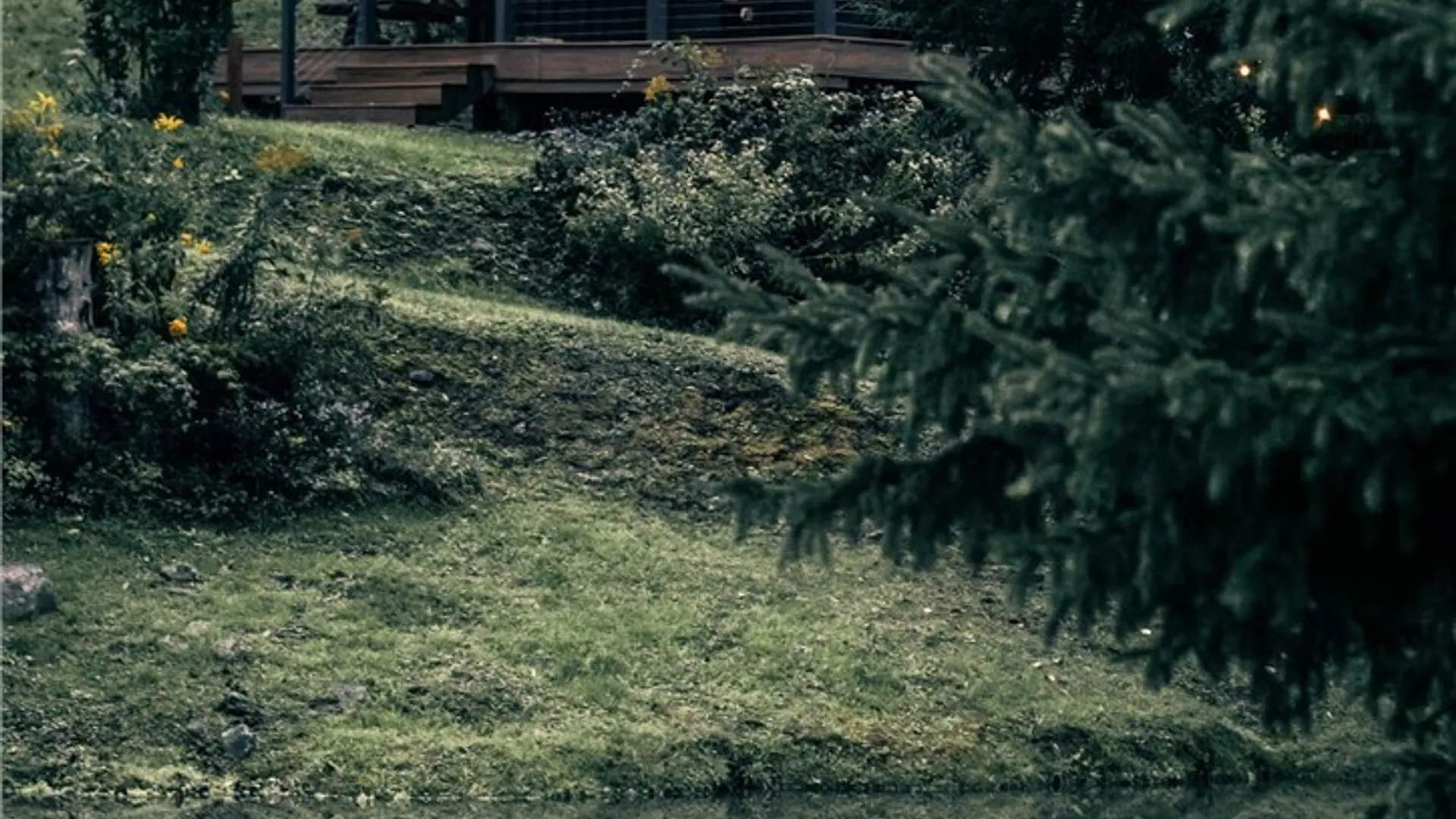 Property at 173 Lewis Road, Tompkins, NY 13856 20