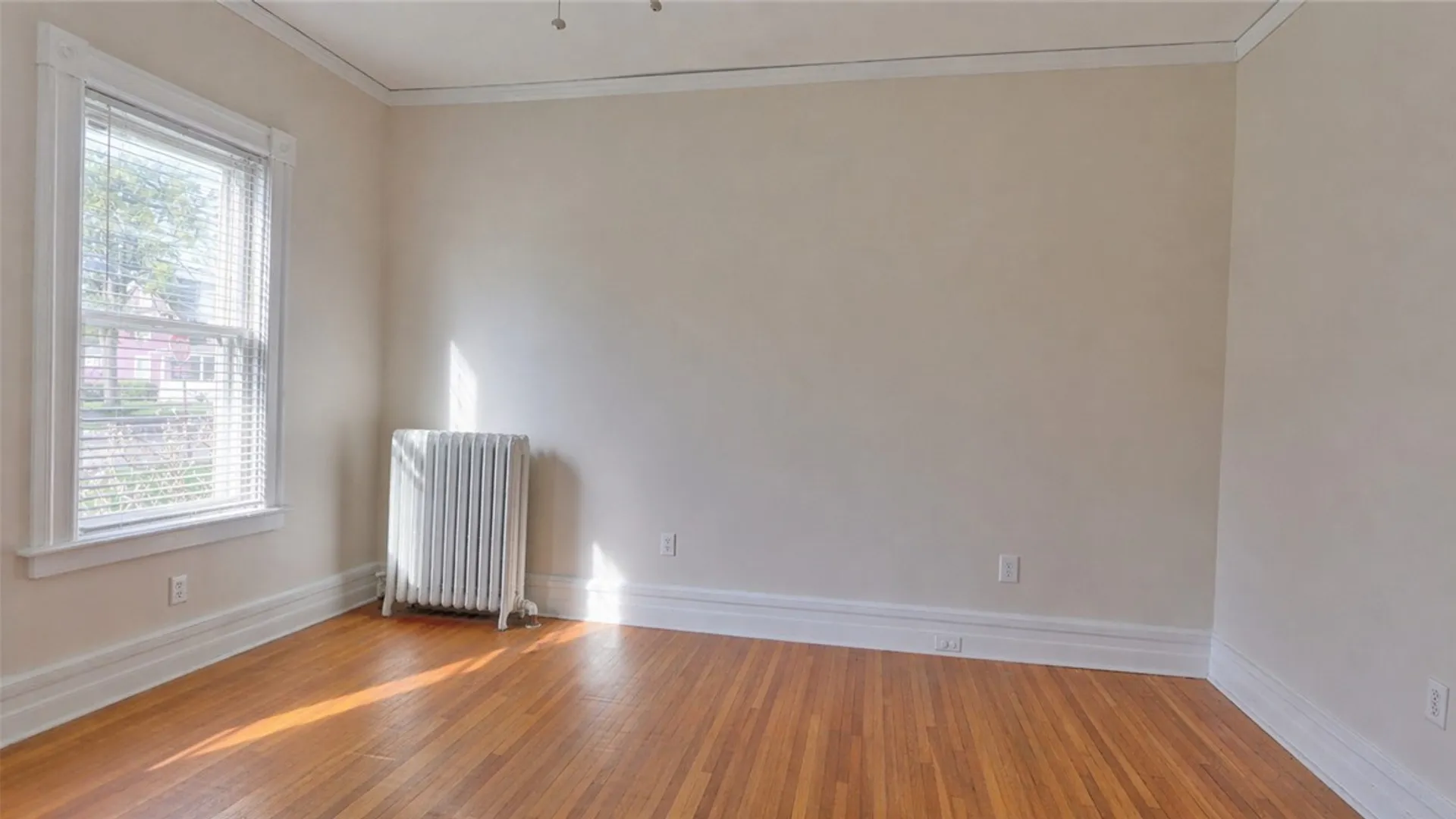 Property at 282 Washington Street, Geneva City, NY 14456 11