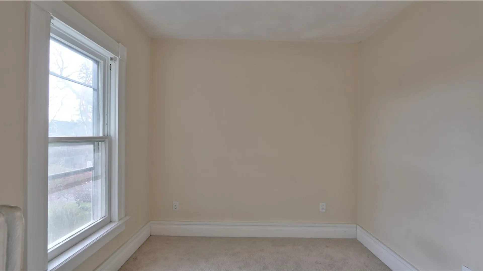 Property at 282 Washington Street, Geneva City, NY 14456 29