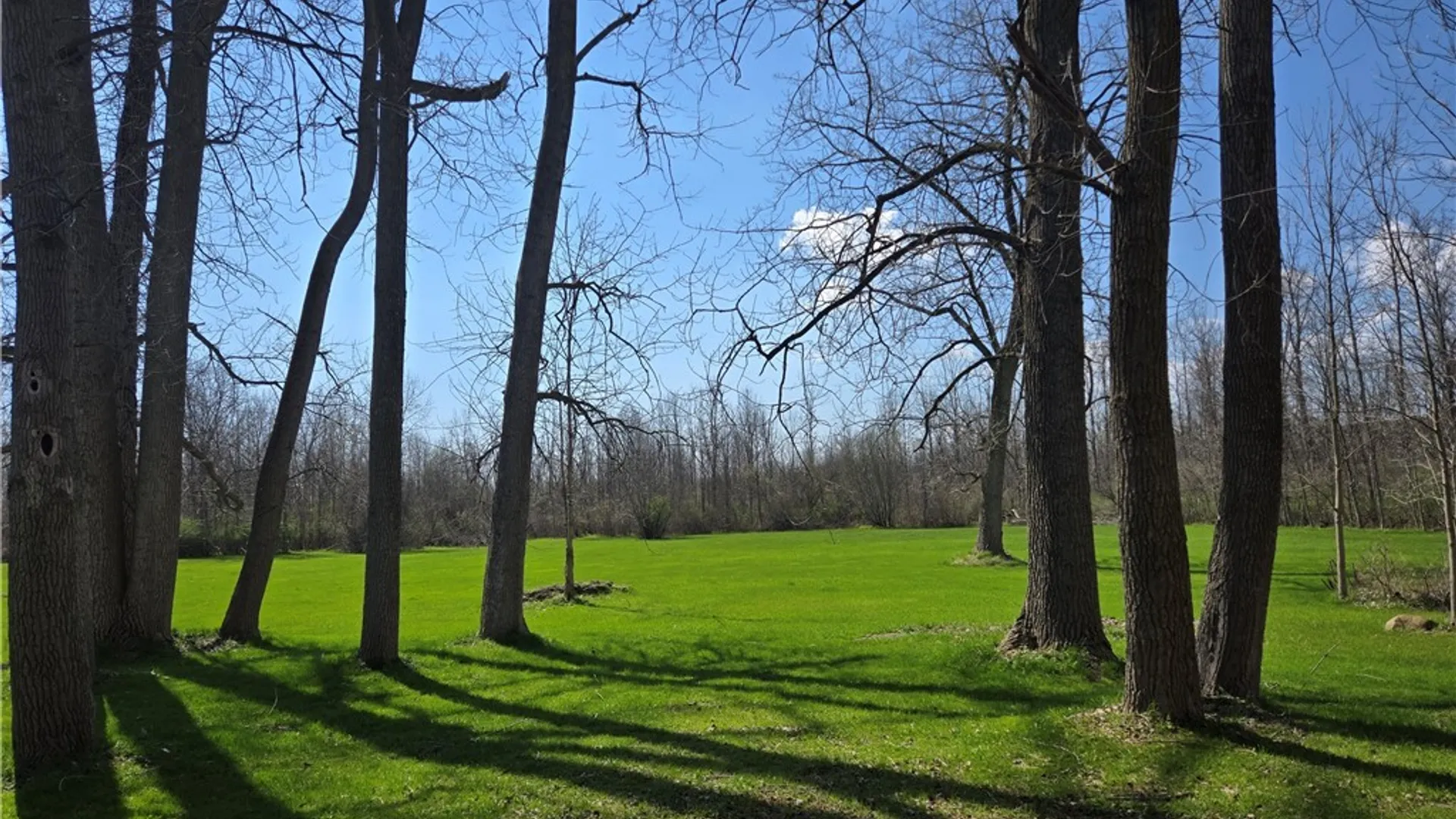 Property at 8984 Lovers Lane Road, Pembroke, NY 14036 43