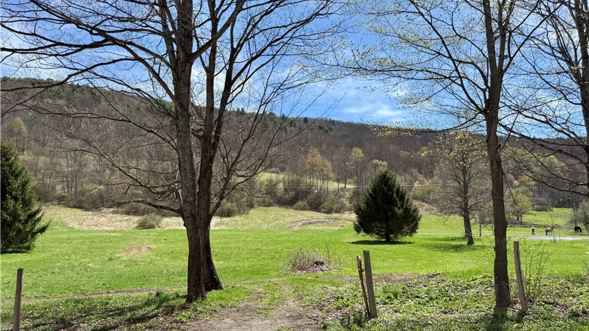 Property at 2719 County Highway 18, Pittsfield, NY 13843 3