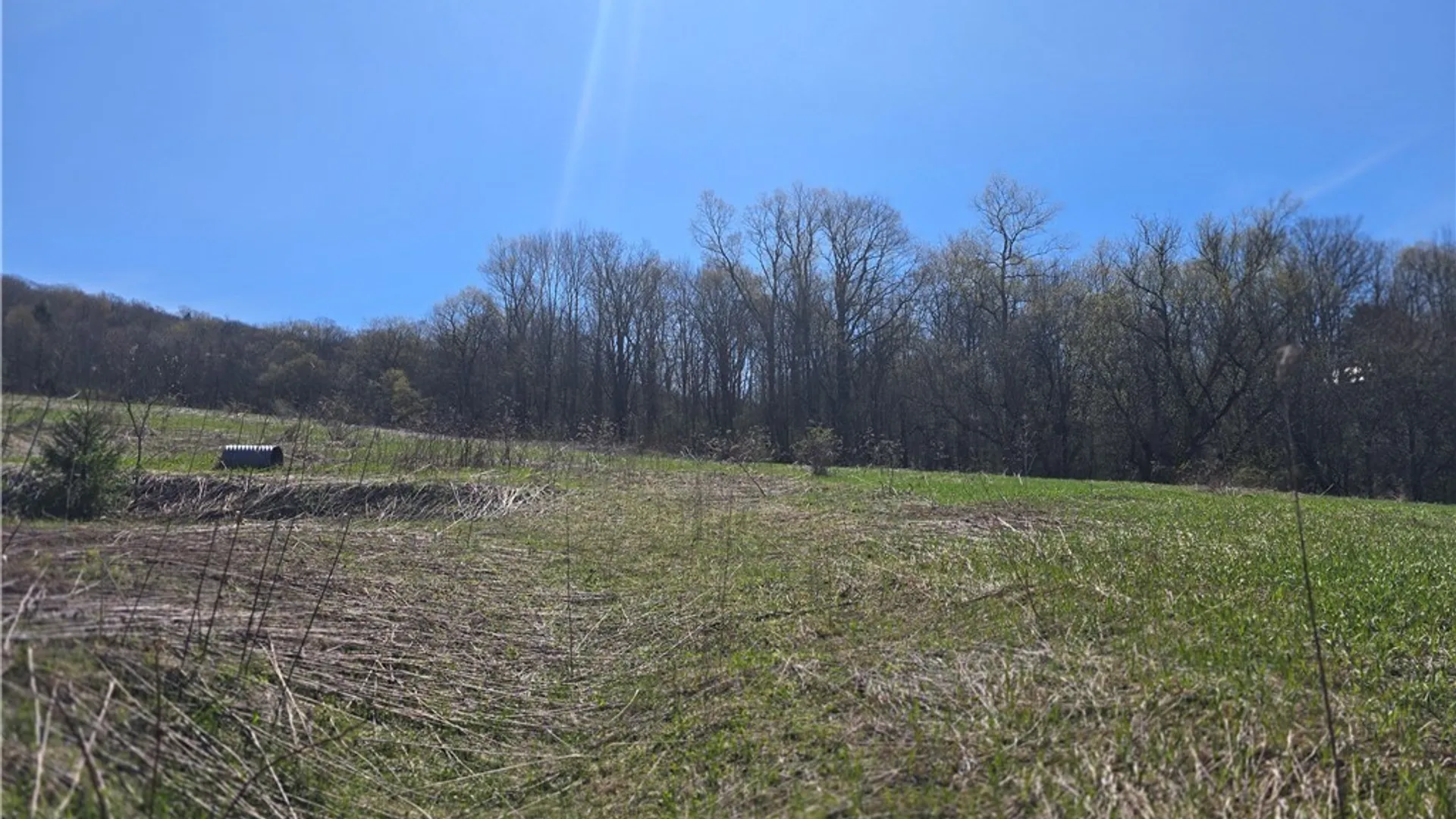 Property at 154 Bliven Road, Bridgewater, NY 13313 2