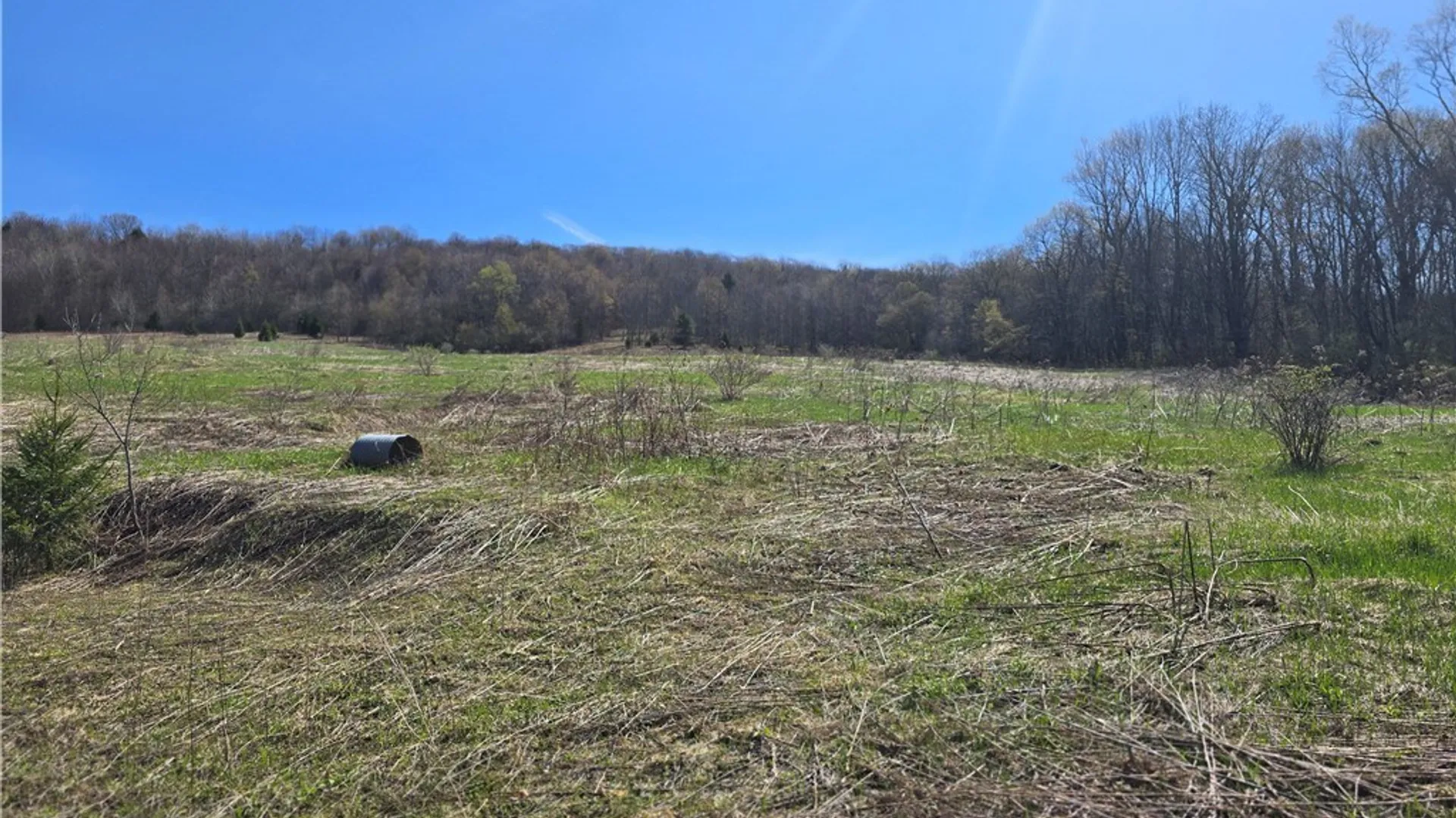 Property at 154 Bliven Road, Bridgewater, NY 13313 5